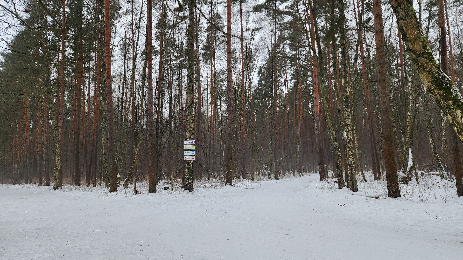 Подмосковье, Домодедово, лыжная трасса, Навигация, Информационные таблички, вертикалки,