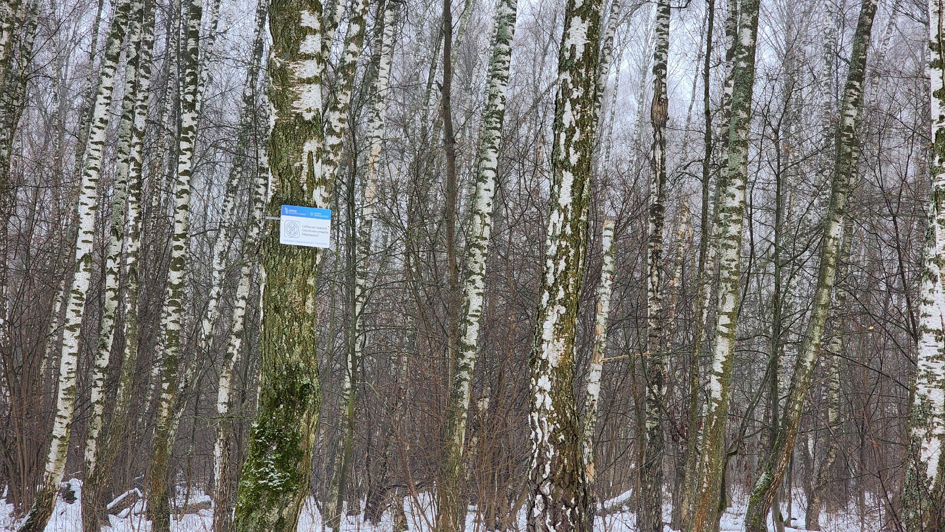 Подмосковье, Домодедово, лыжная трасса, Навигация, Информационные таблички, вертикалки,