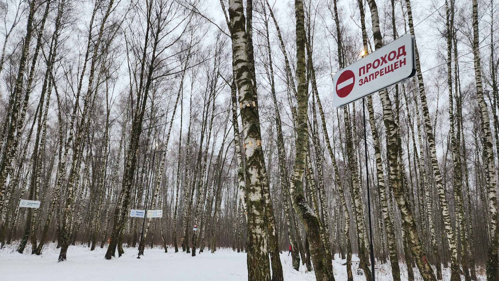 Подмосковье, Домодедово, лыжная трасса, Навигация, Информационные таблички, вертикалки,