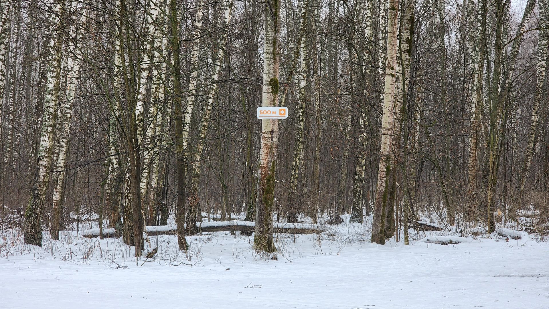 Подмосковье, Домодедово, лыжная трасса, Навигация, Информационные таблички, вертикалки,