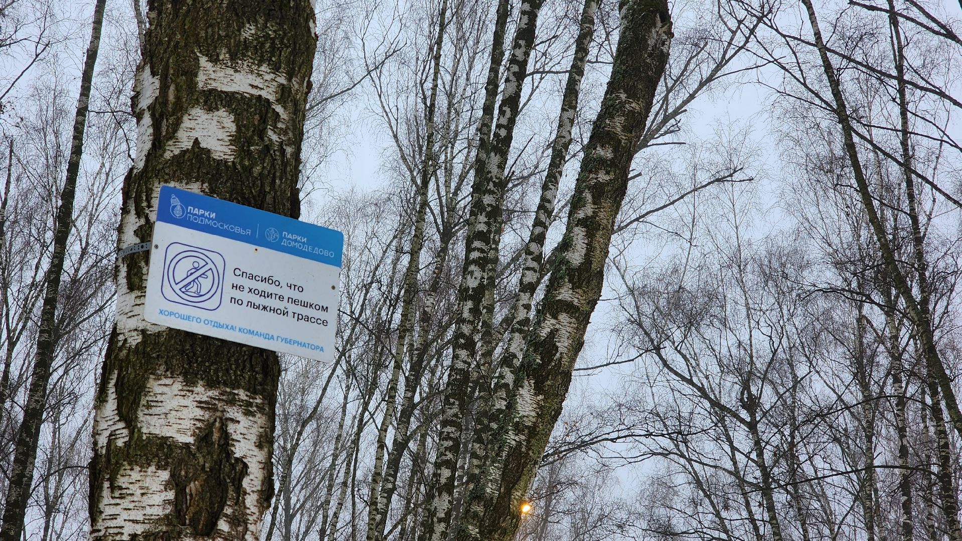 Подмосковье, Домодедово, лыжная трасса, Навигация, Информационные таблички, вертикалки,