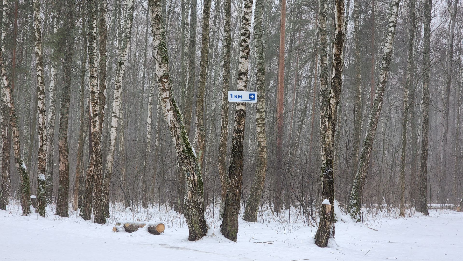 Подмосковье, Домодедово, лыжная трасса, Навигация, Информационные таблички, вертикалки,