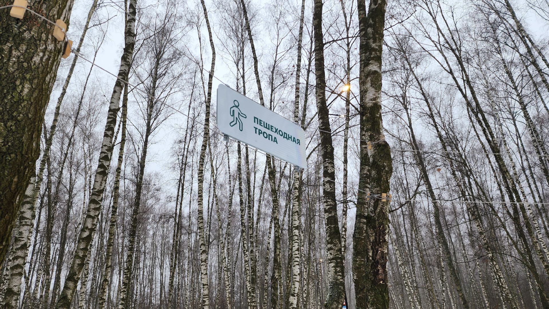 Подмосковье, Домодедово, лыжная трасса, Навигация, Информационные таблички, вертикалки,