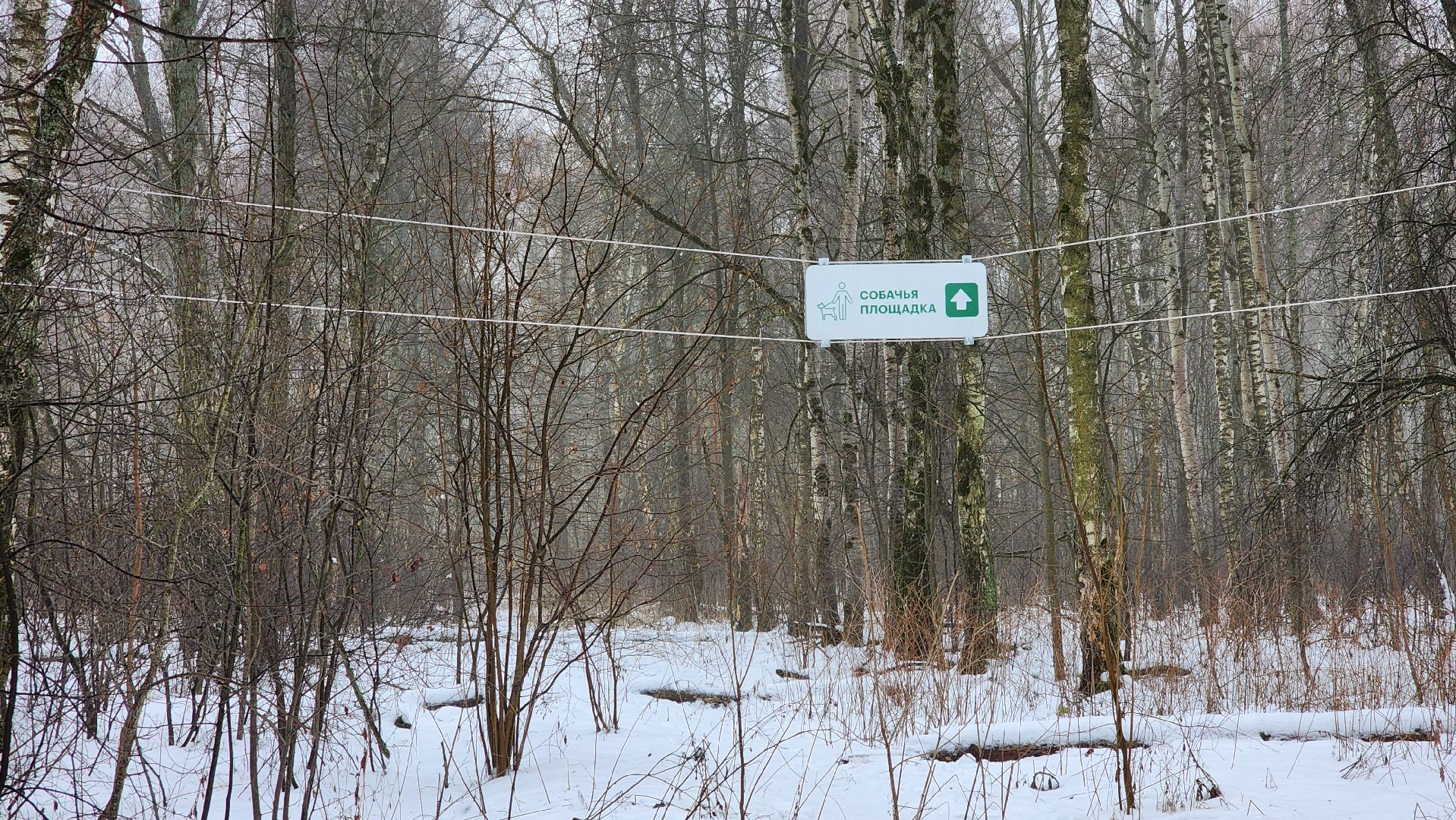 Подмосковье, Домодедово, лыжная трасса, Навигация, Информационные таблички, вертикалки,