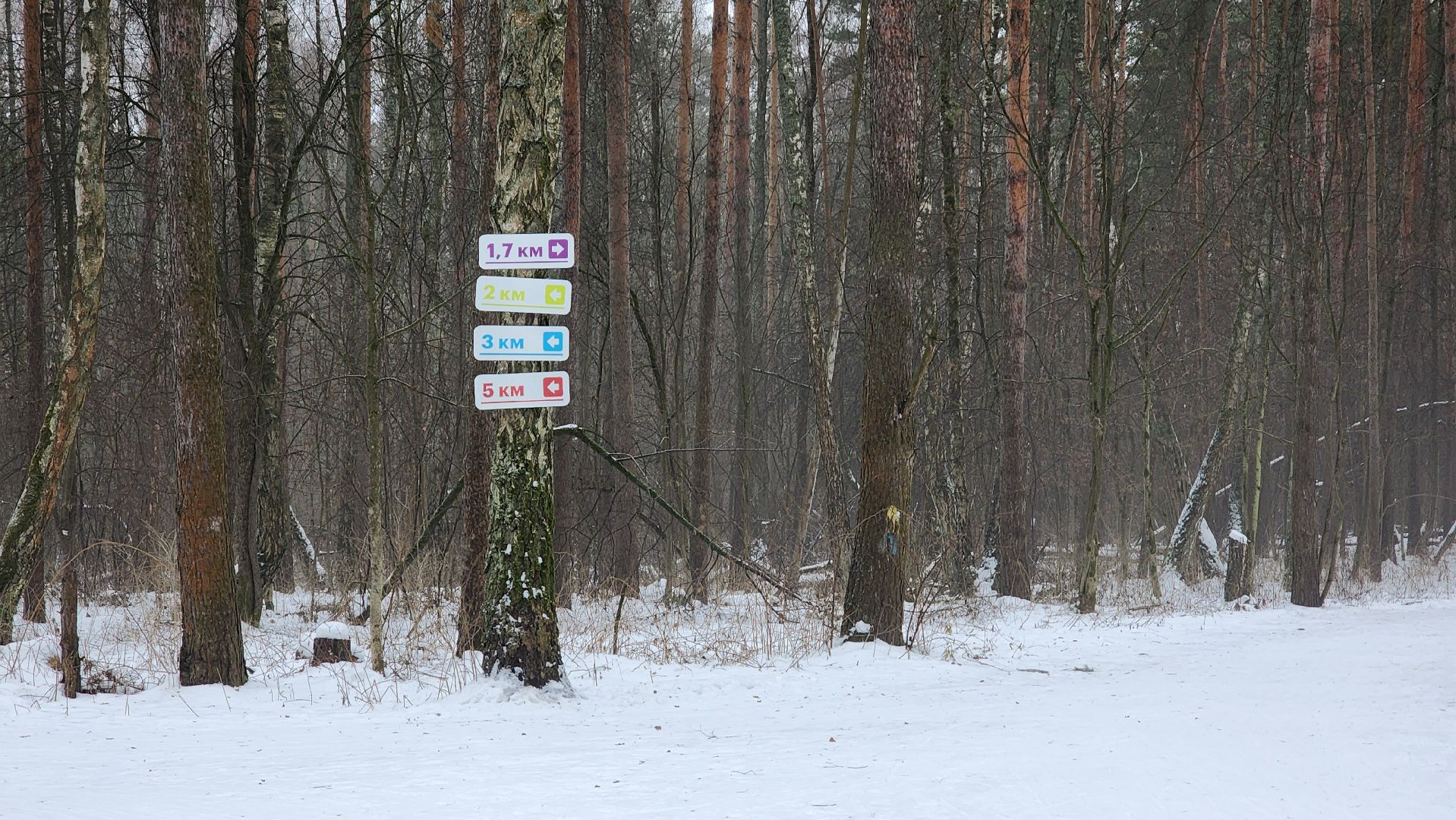 Подмосковье, Домодедово, лыжная трасса, Навигация, Информационные таблички, вертикалки,