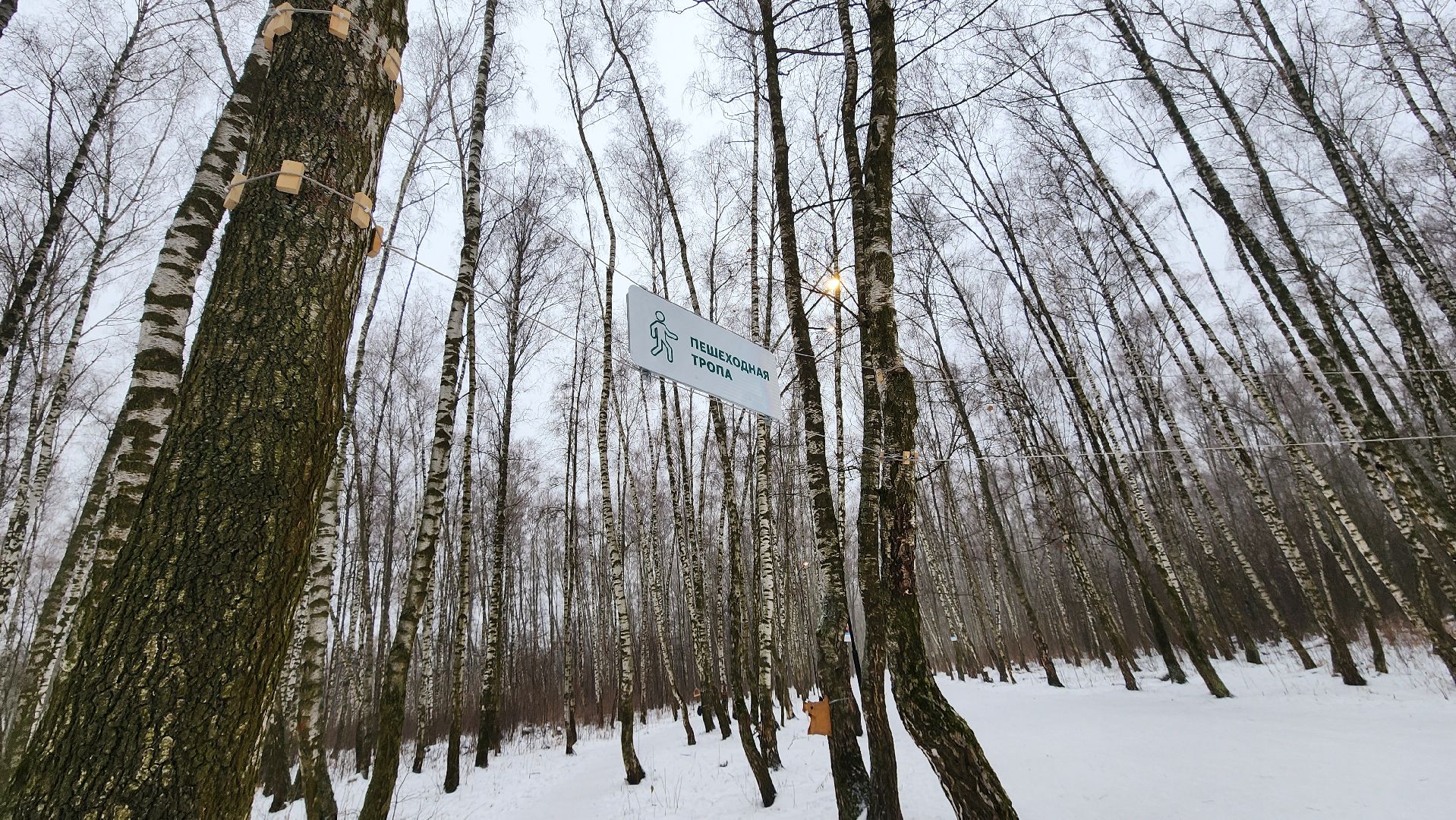 Подмосковье, Домодедово, лыжная трасса, Навигация, Информационные таблички, вертикалки,