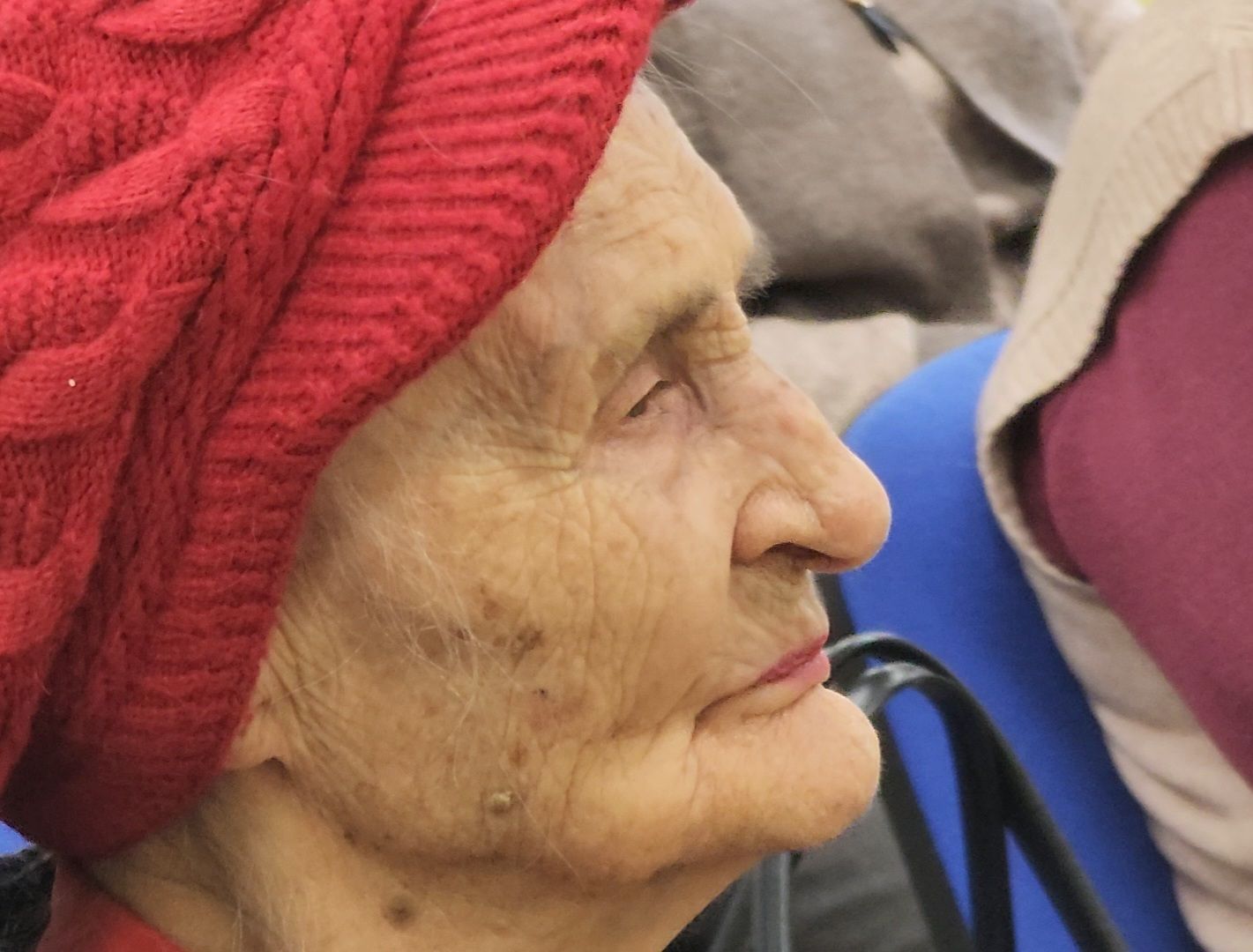 Дубна, Госавтоинспекция, Профилактика, омвд, Ветераны,