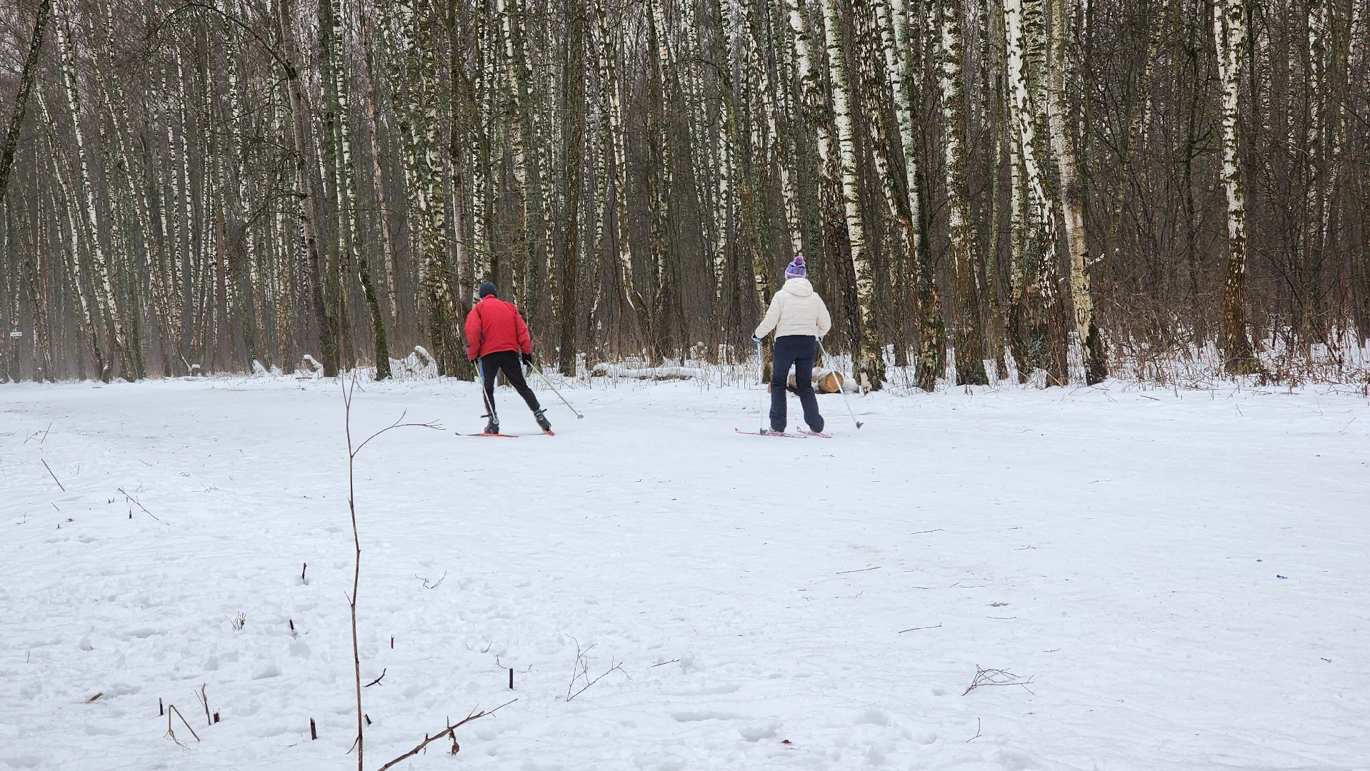 Домодедово, Подмосковье, Лыжная трасса, Лыжня, Городской лес, Городской парк, Благоустройство, вертикалки,