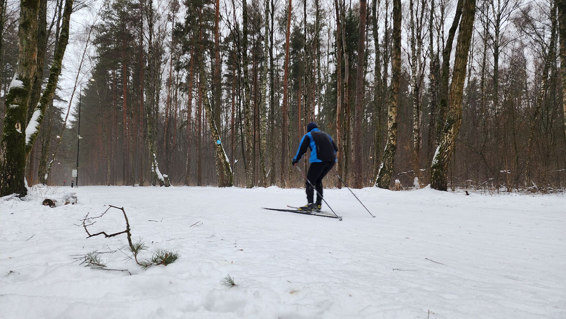Домодедово, Подмосковье, Лыжная трасса, Лыжня, Городской лес, Городской парк, Благоустройство, вертикалки,