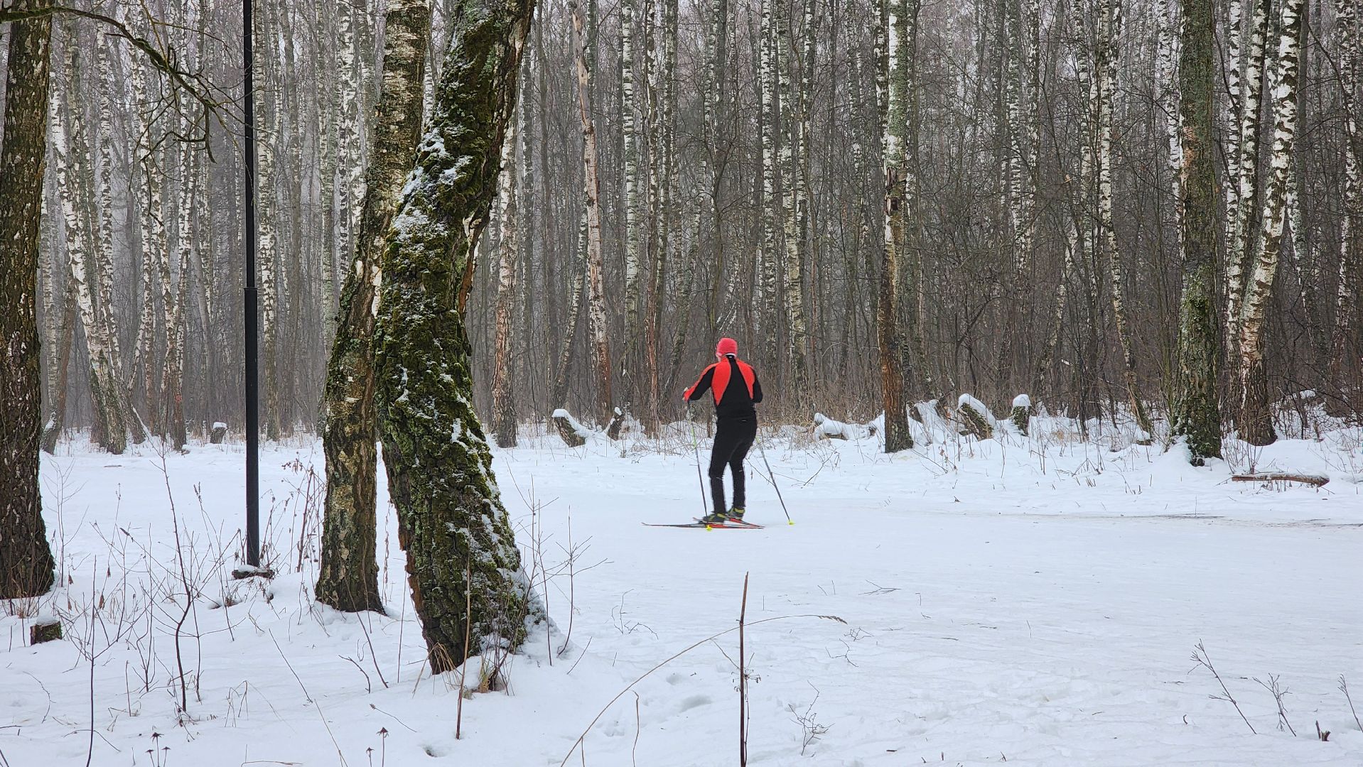 Домодедово, Подмосковье, Лыжная трасса, Лыжня, Городской лес, Городской парк, Благоустройство, вертикалки,