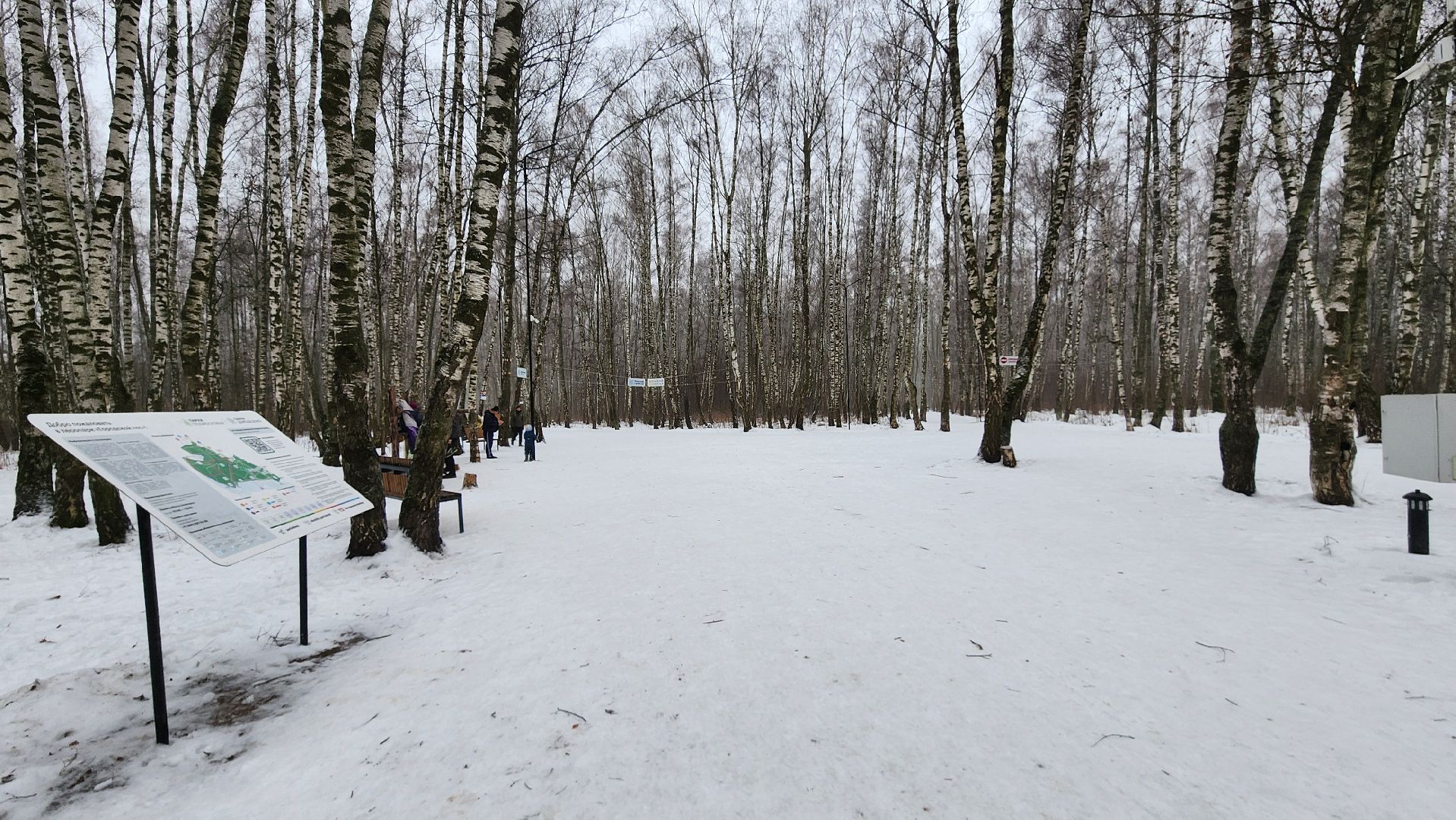 Домодедово, Подмосковье, Лыжная трасса, Лыжня, Городской лес, Городской парк, Благоустройство, вертикалки,