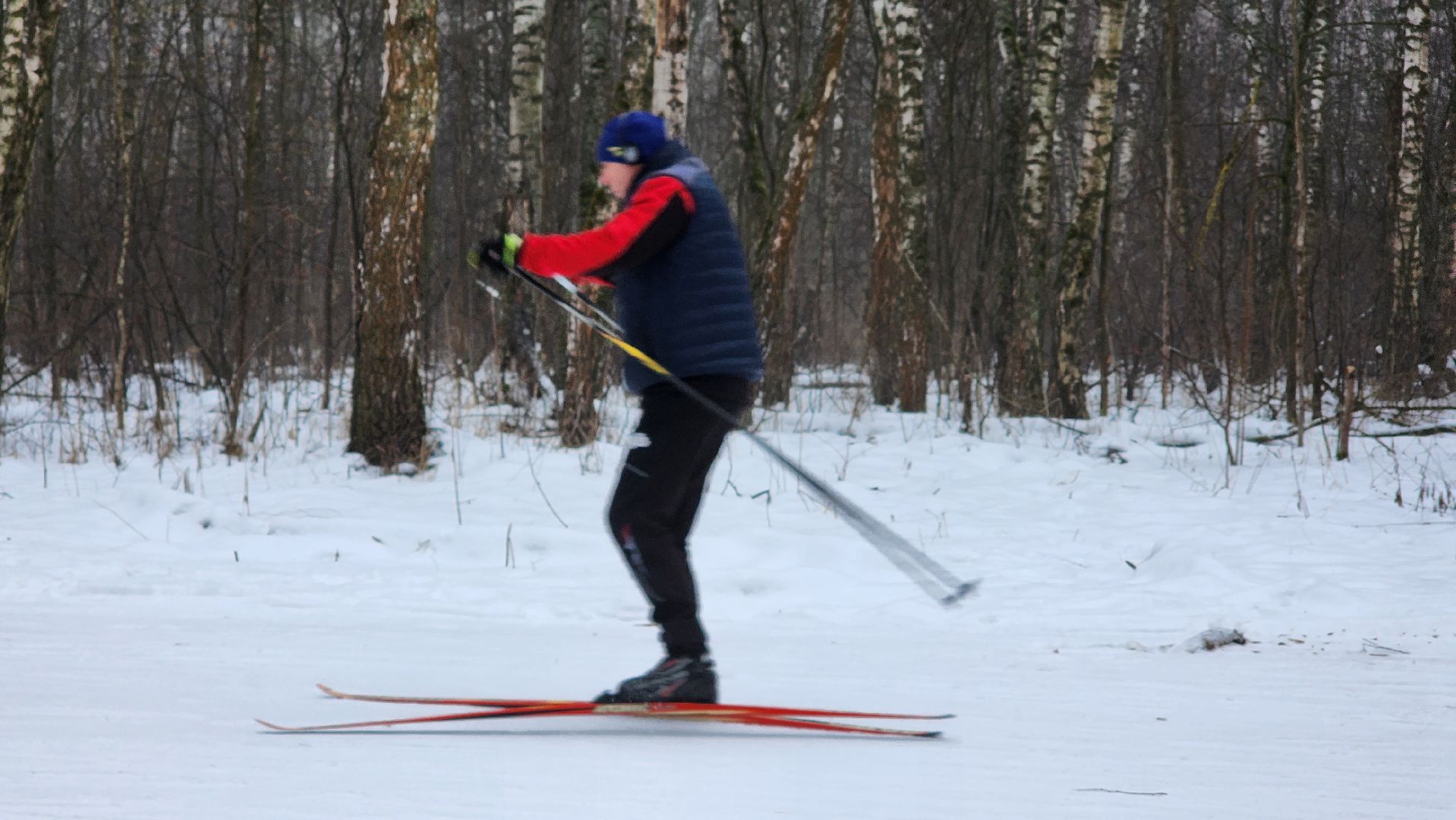 Домодедово, Подмосковье, Лыжная трасса, Лыжня, Городской лес, Городской парк, Благоустройство, вертикалки,