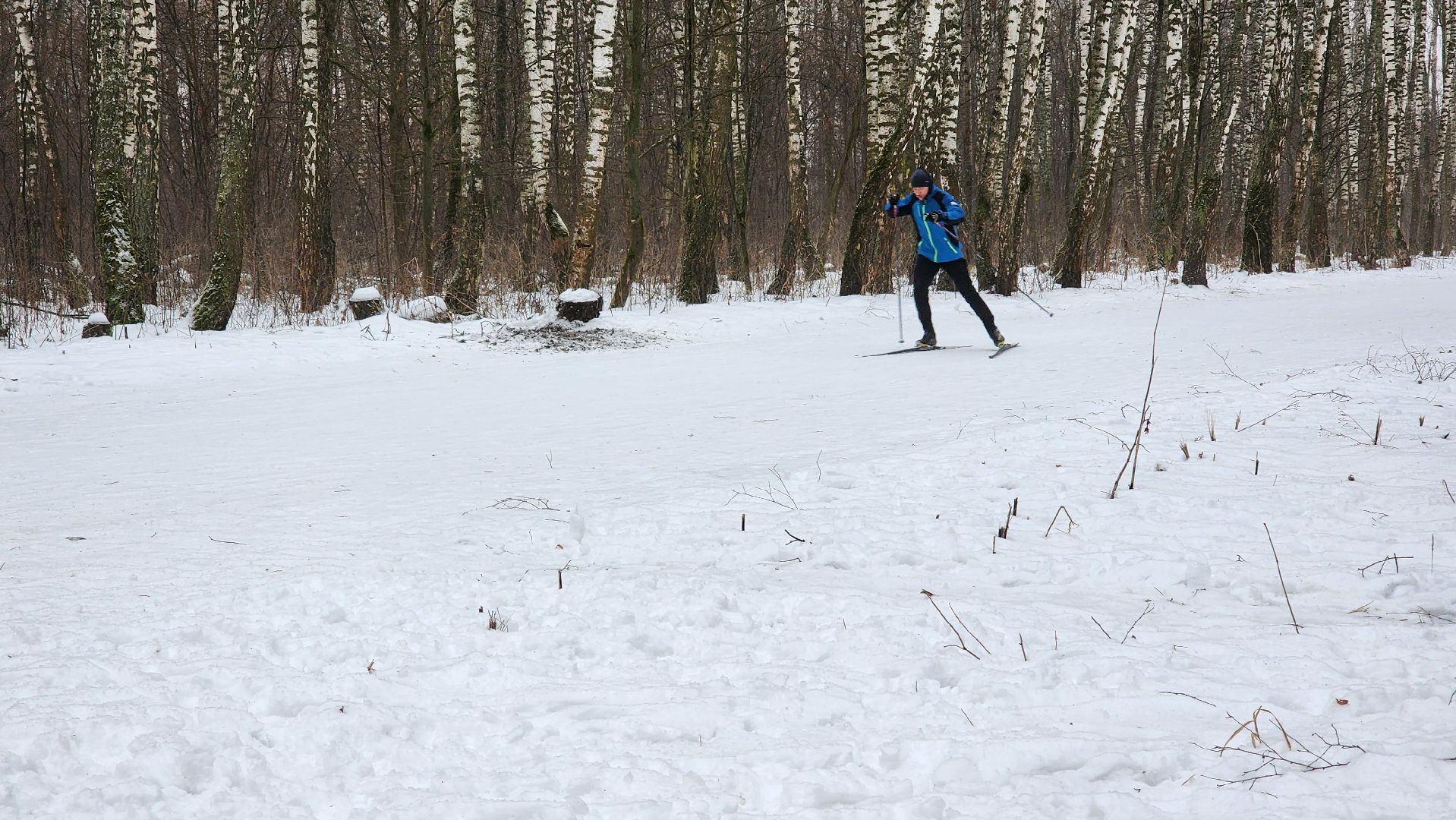 Домодедово, Подмосковье, Лыжная трасса, Лыжня, Городской лес, Городской парк, Благоустройство, вертикалки,