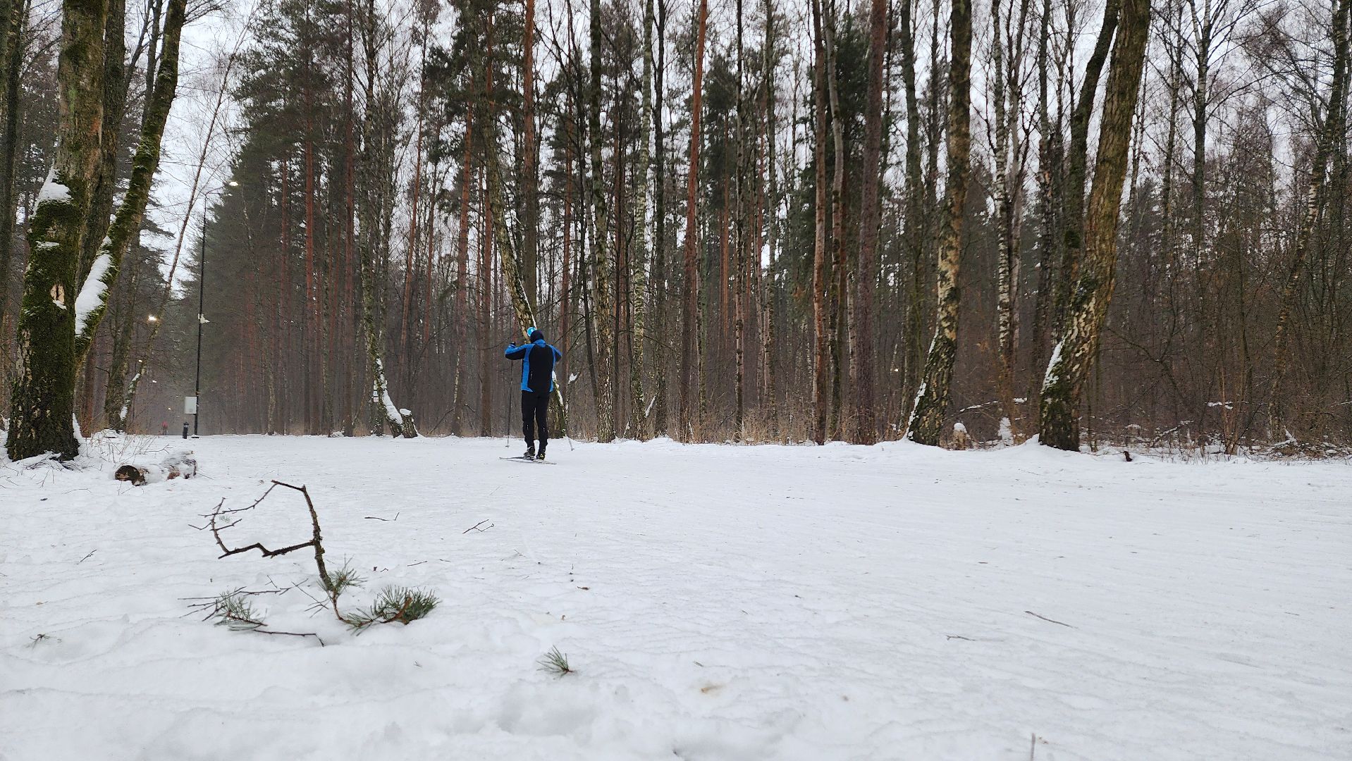 Домодедово, Подмосковье, Лыжная трасса, Лыжня, Городской лес, Городской парк, Благоустройство, вертикалки,