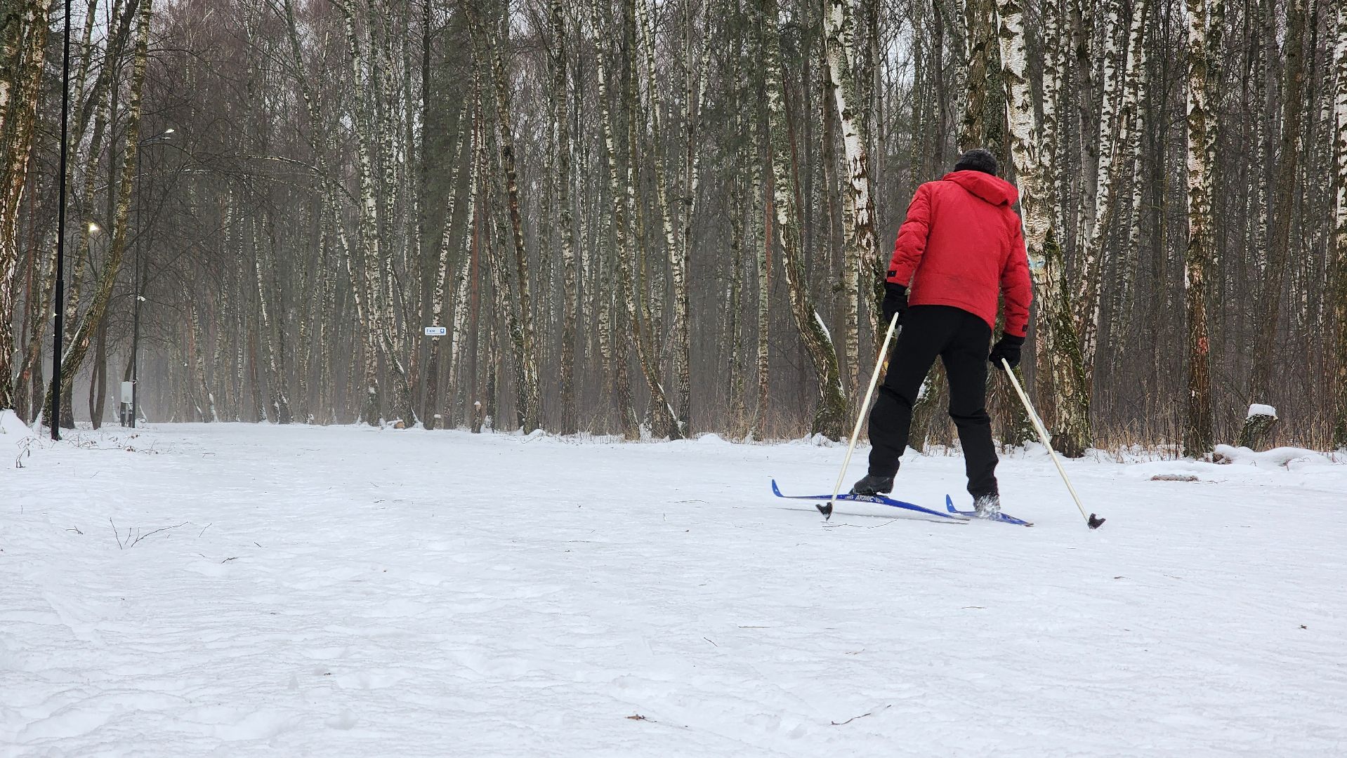 Домодедово, Подмосковье, Лыжная трасса, Лыжня, Городской лес, Городской парк, Благоустройство, вертикалки,