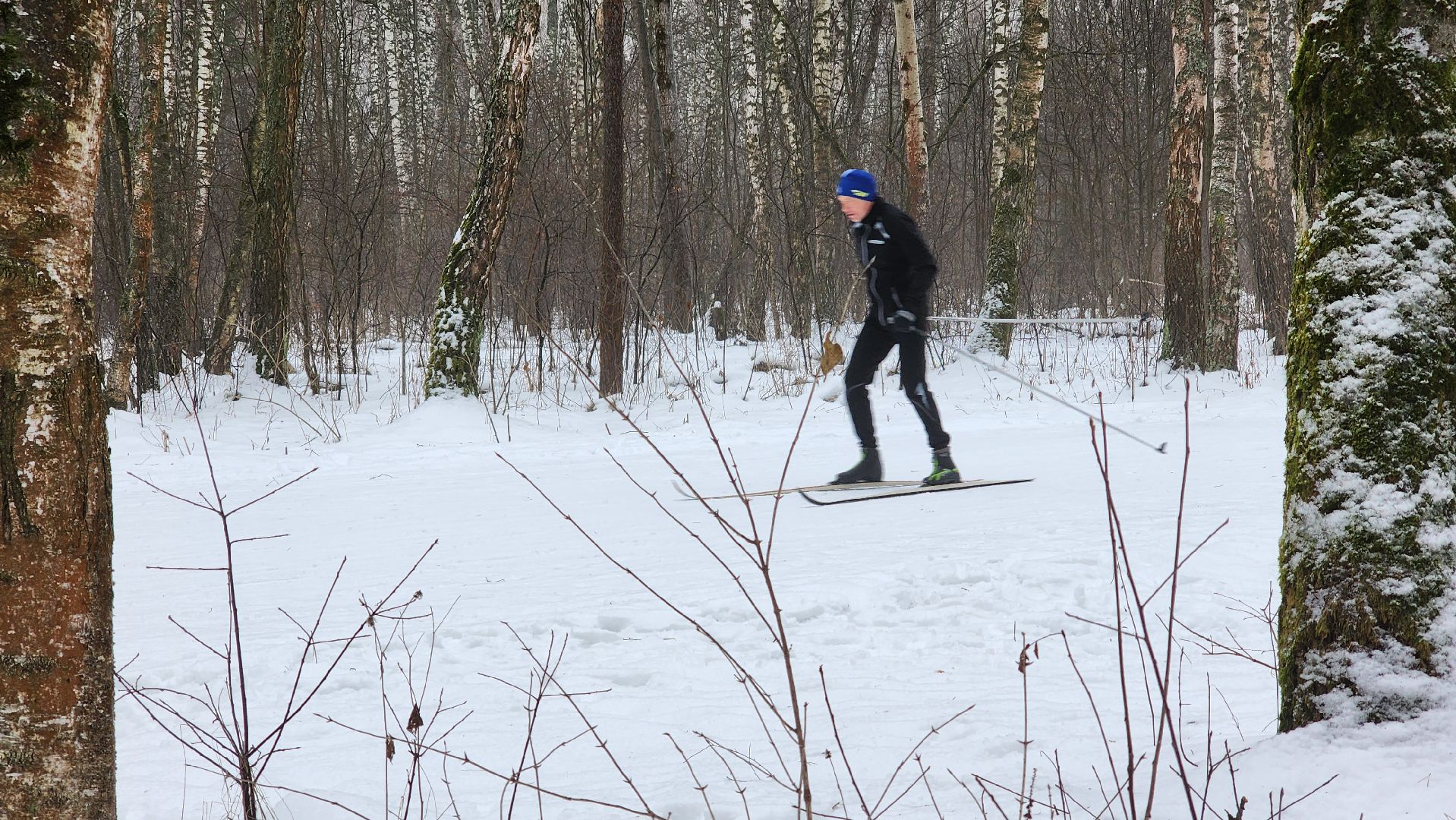 Домодедово, Подмосковье, Лыжная трасса, Лыжня, Городской лес, Городской парк, Благоустройство, вертикалки,