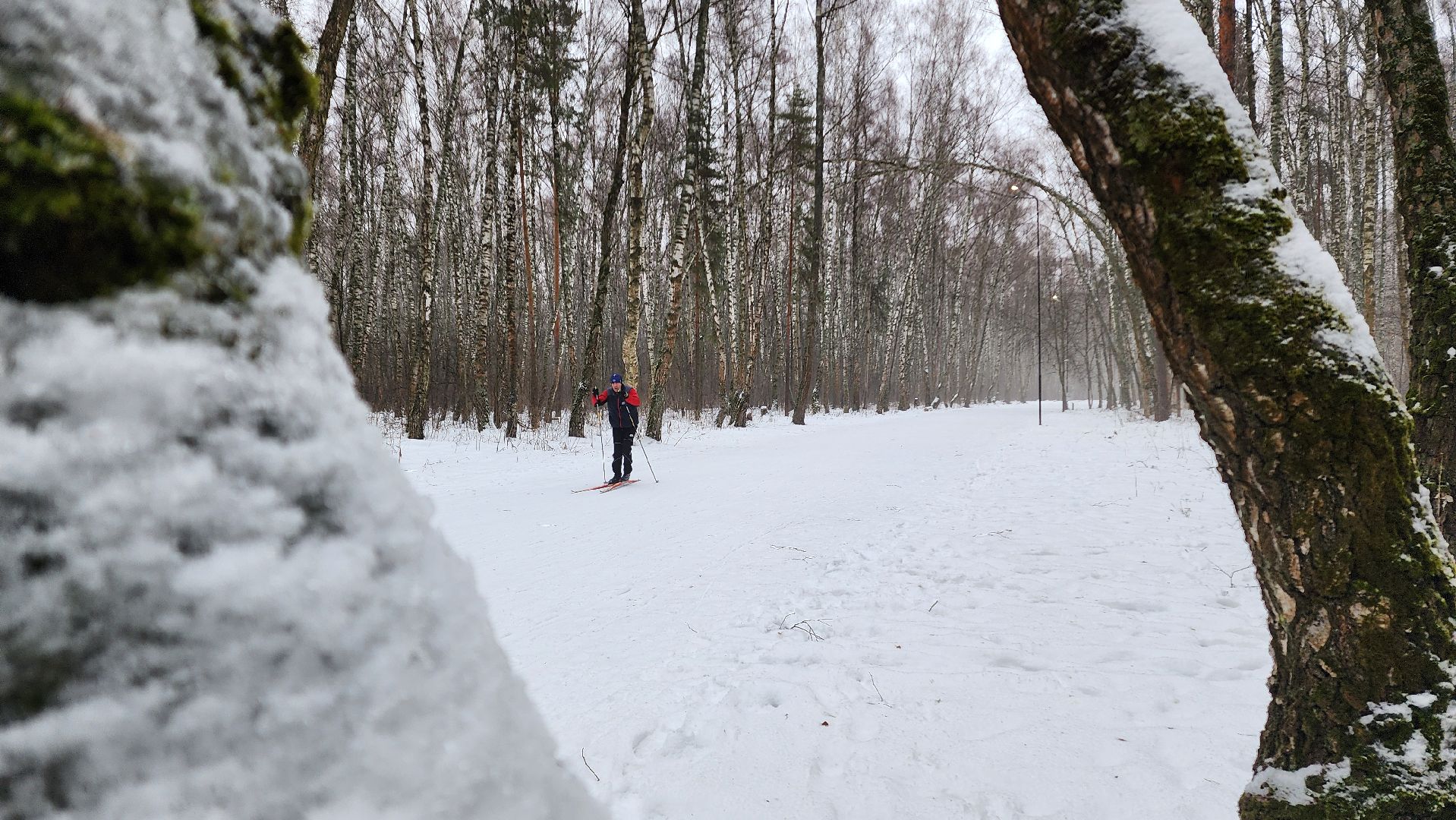 Домодедово, Подмосковье, Лыжная трасса, Лыжня, Городской лес, Городской парк, Благоустройство, вертикалки,