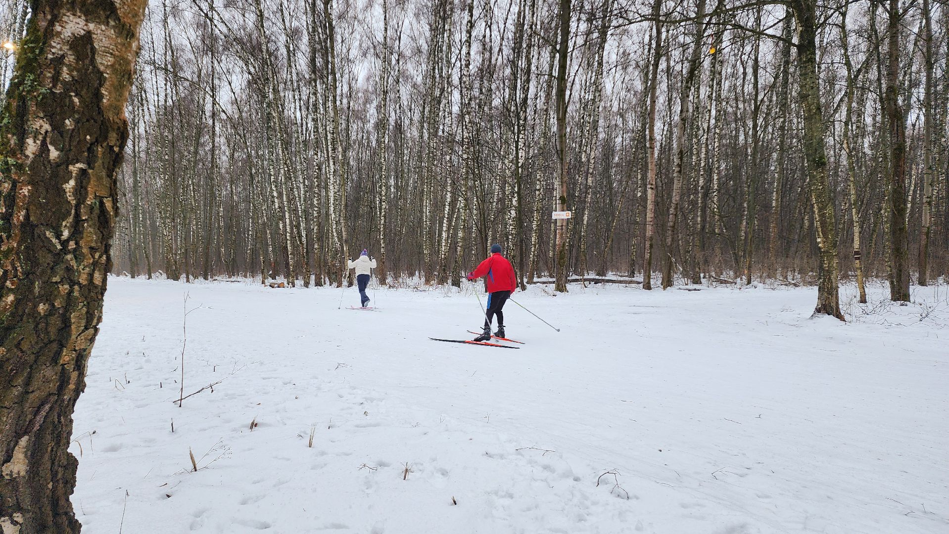 Домодедово, Подмосковье, Лыжная трасса, Лыжня, Городской лес, Городской парк, Благоустройство, вертикалки,