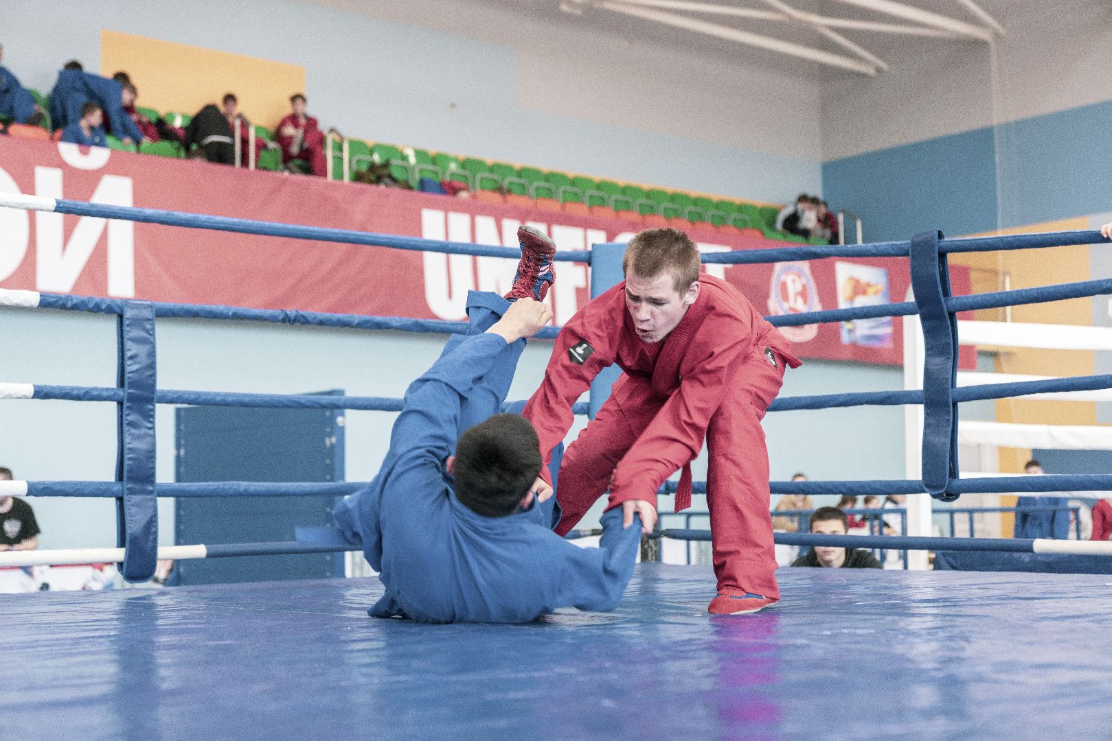 Спорт, турнир, Домодедово