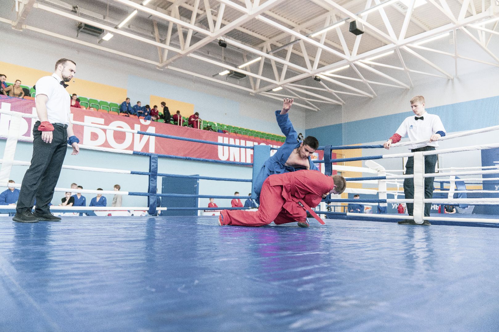 Спорт, турнир, Домодедово