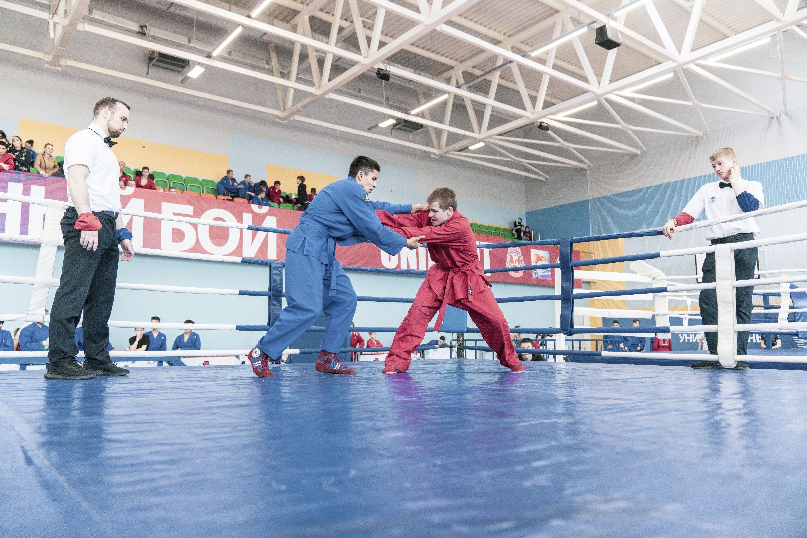 Спорт, турнир, Домодедово