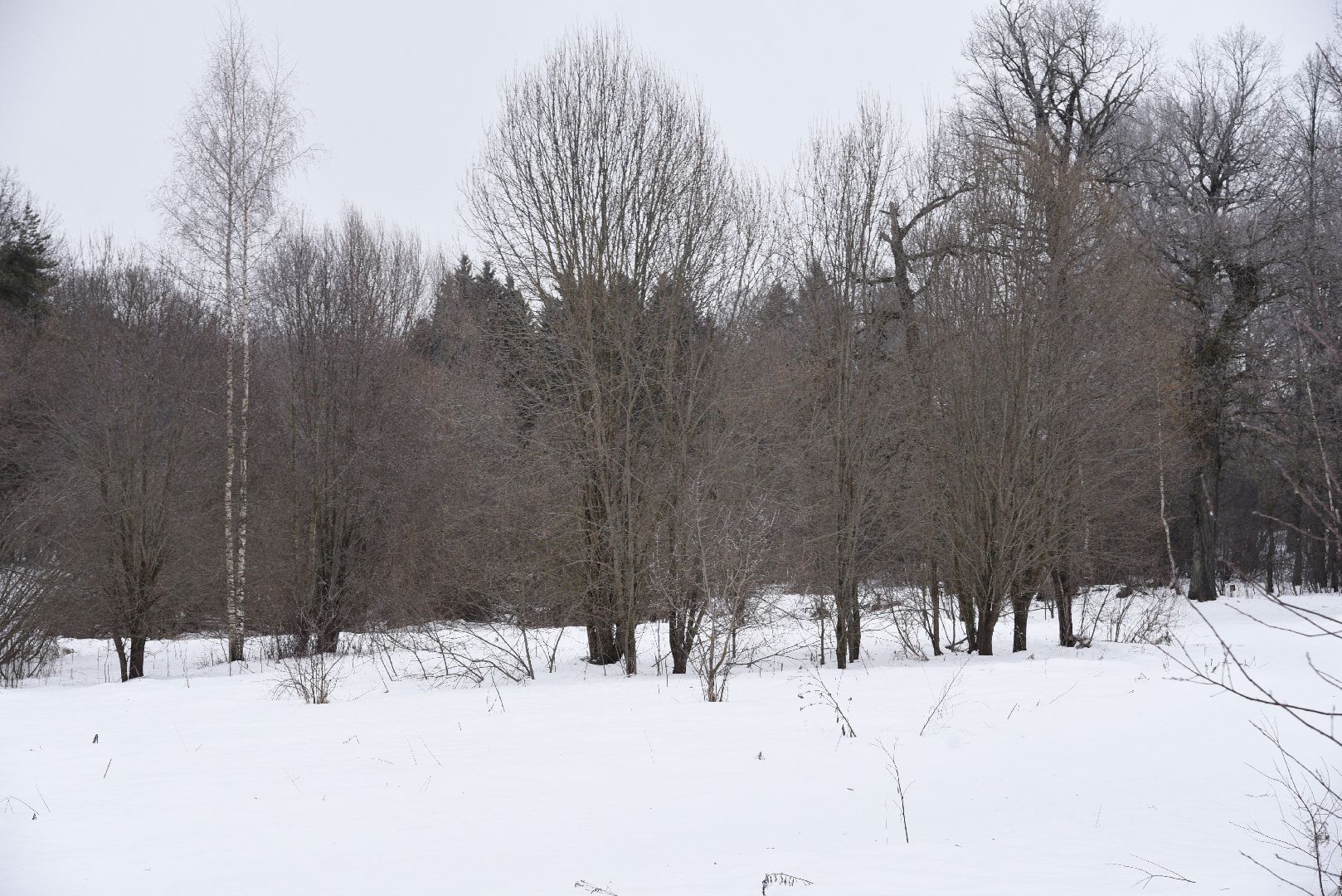 лотошино, праздник, фейерверки, салюты, новый год, вертикалки,