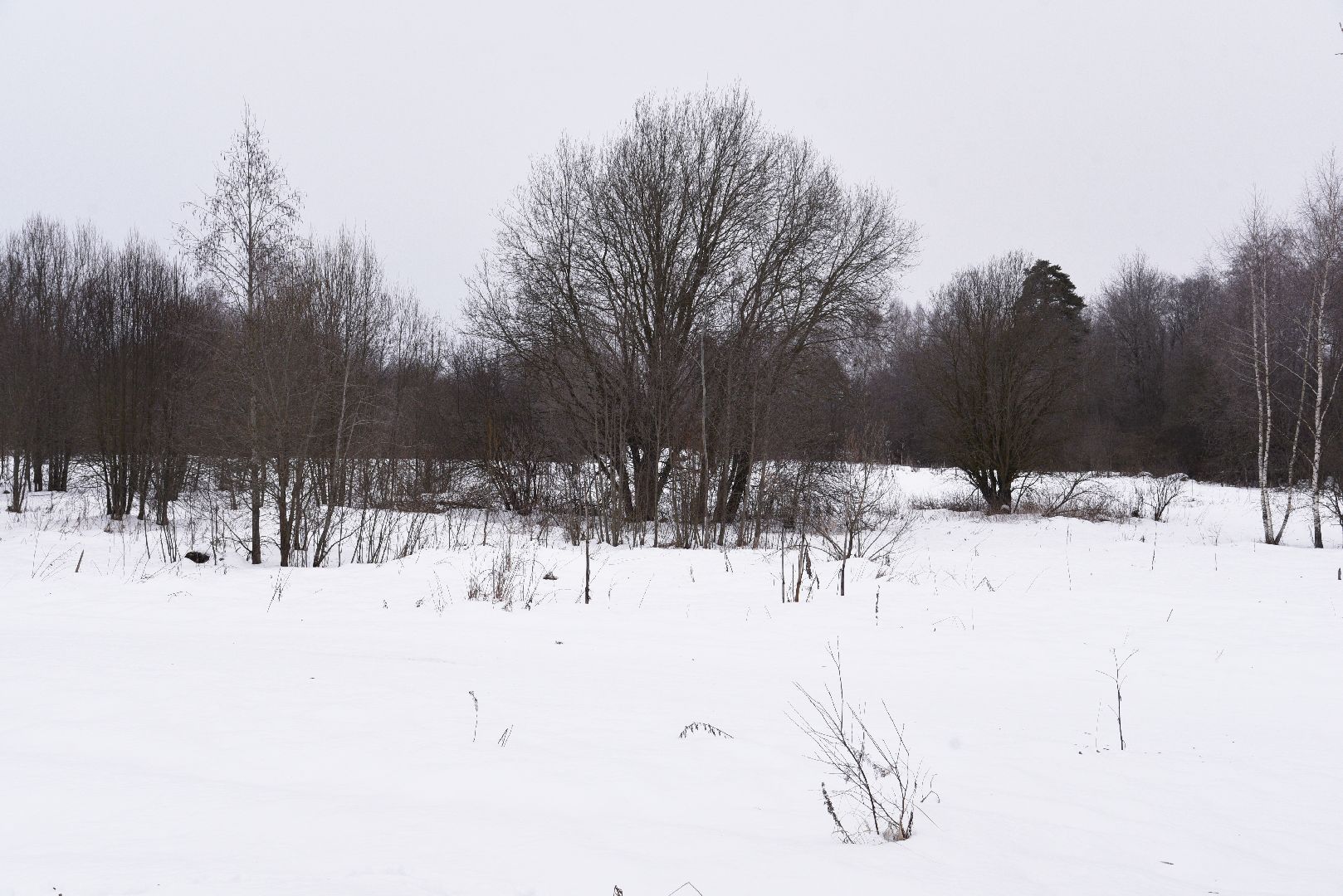 лотошино, праздник, фейерверки, салюты, новый год, вертикалки,