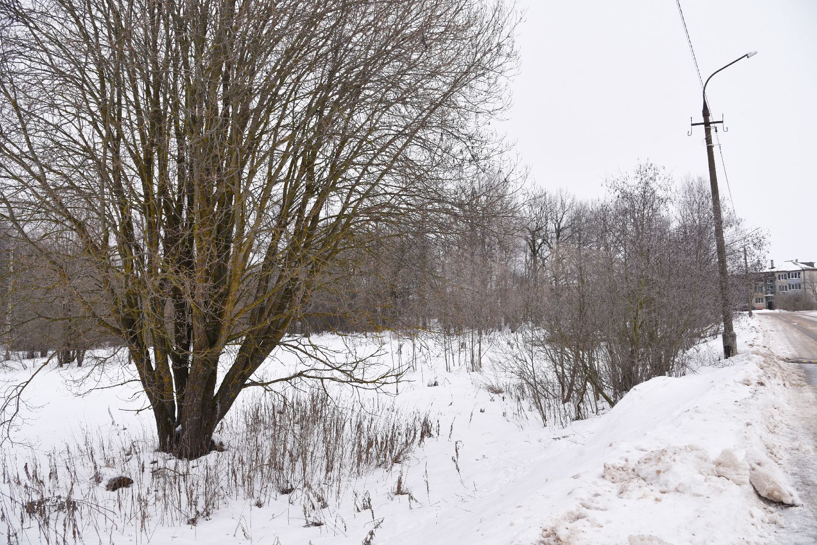 лотошино, праздник, фейерверки, салюты, новый год, вертикалки,