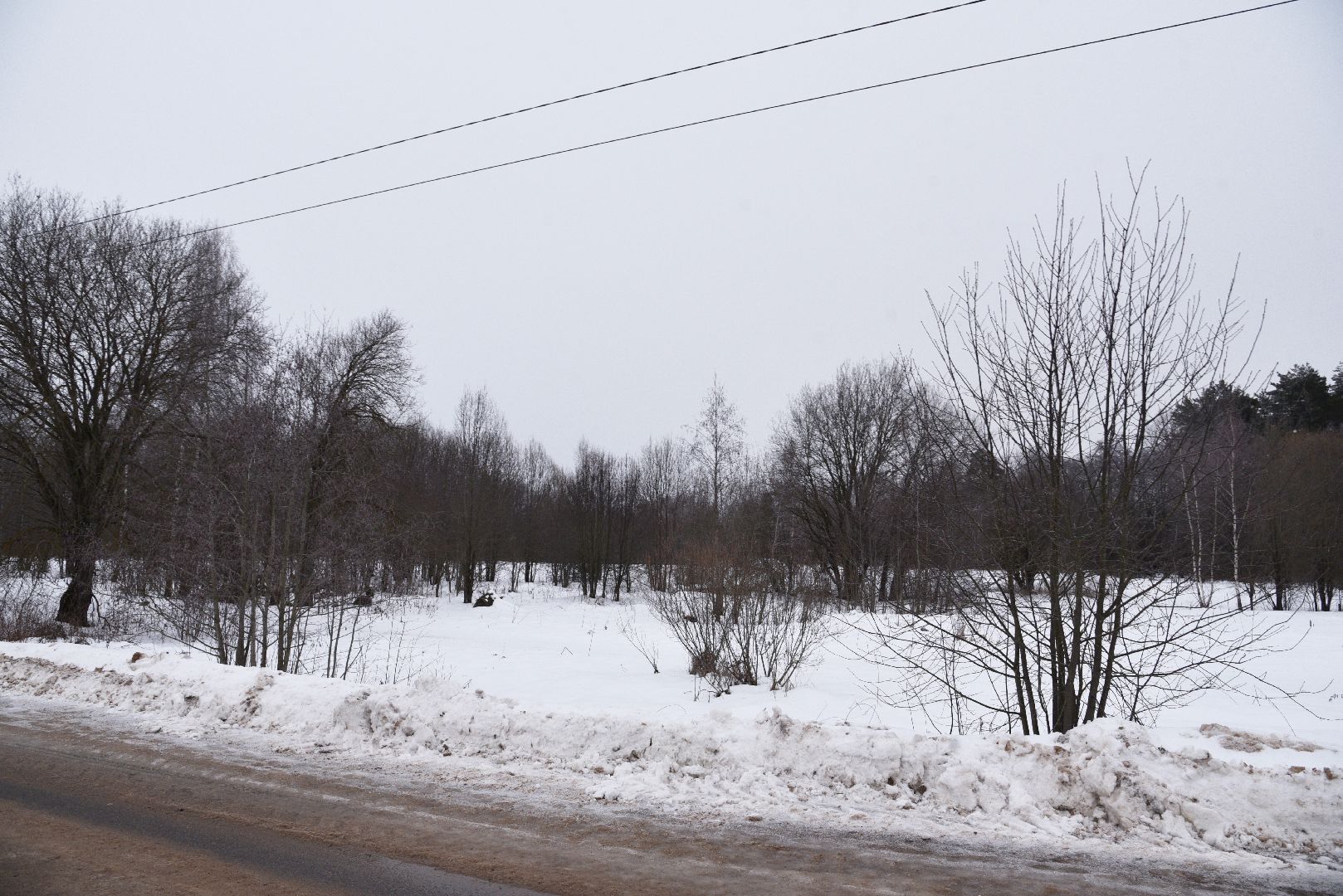 лотошино, праздник, фейерверки, салюты, новый год, вертикалки,