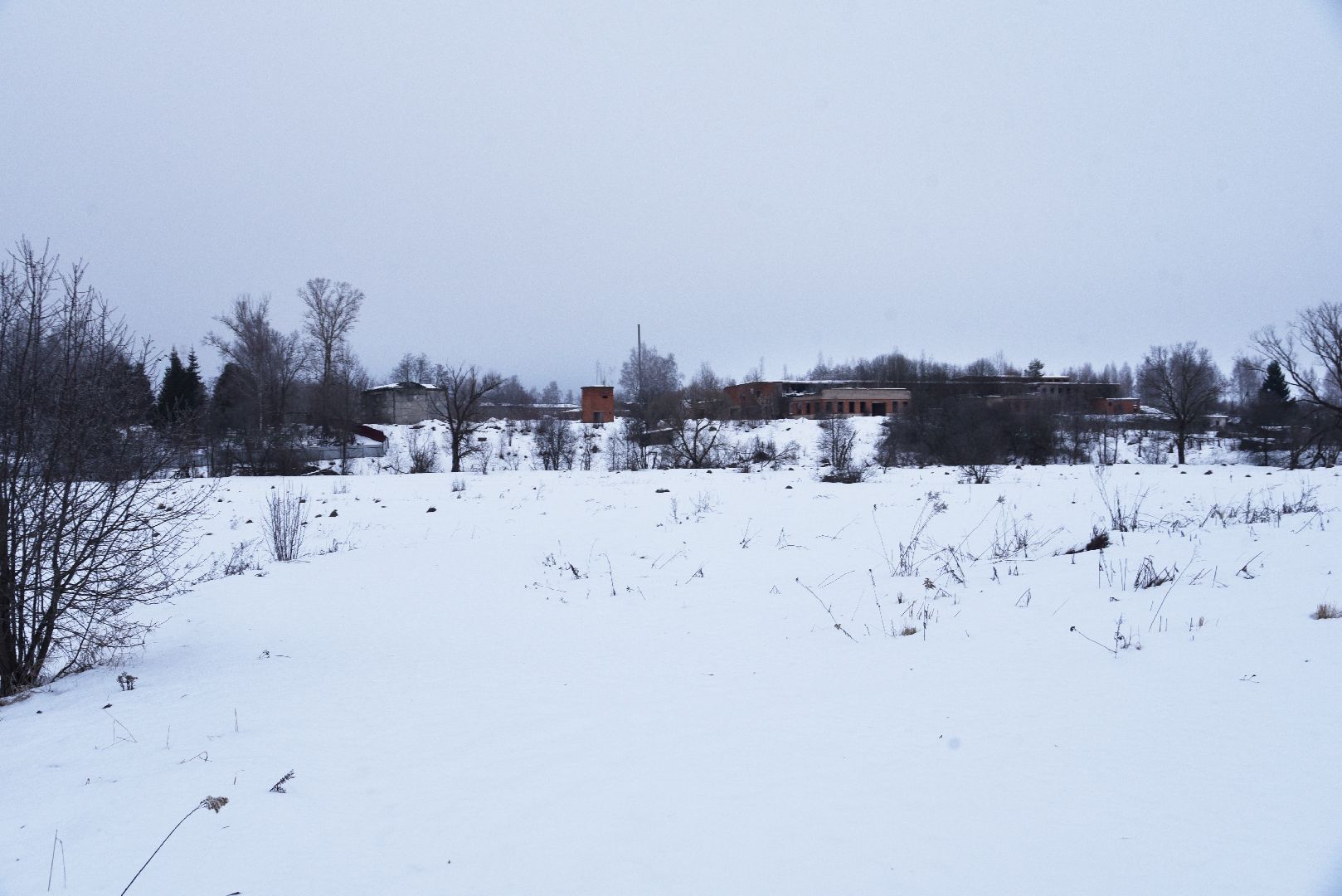 лотошино, праздник, фейерверки, салюты, новый год, вертикалки,