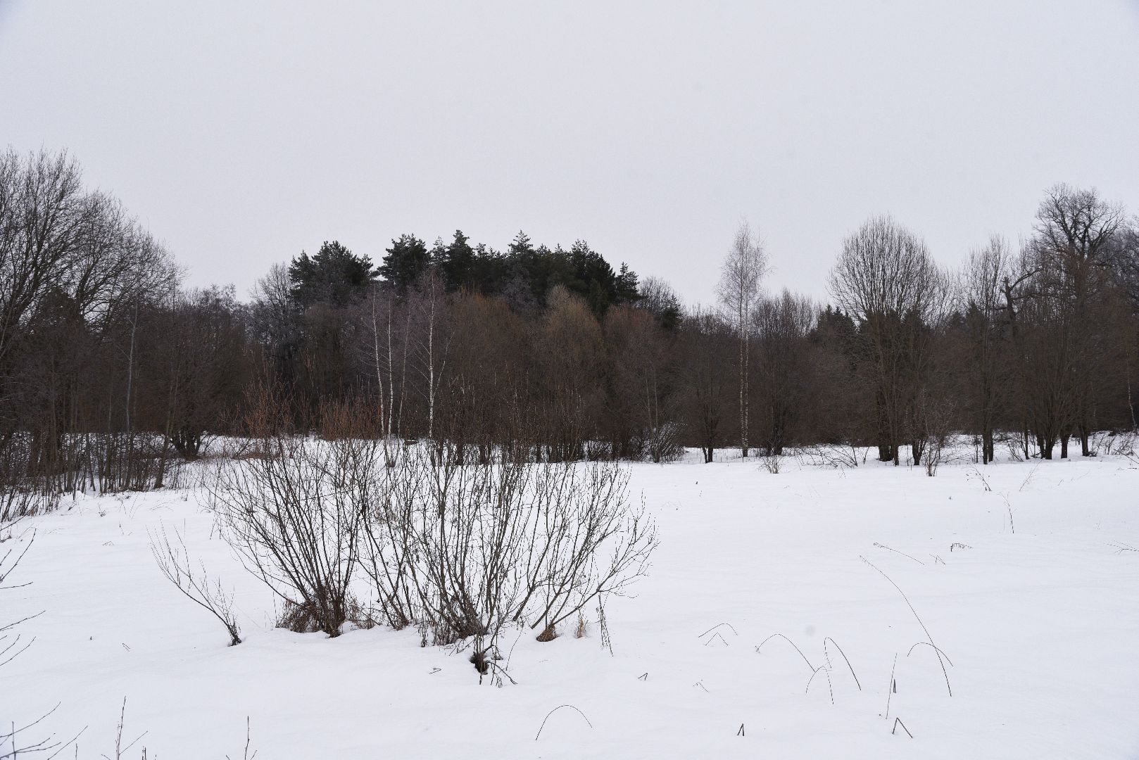 лотошино, праздник, фейерверки, салюты, новый год, вертикалки,