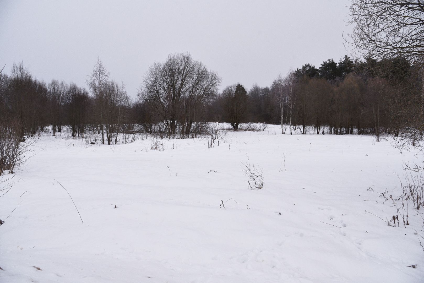 лотошино, праздник, фейерверки, салюты, новый год, вертикалки,