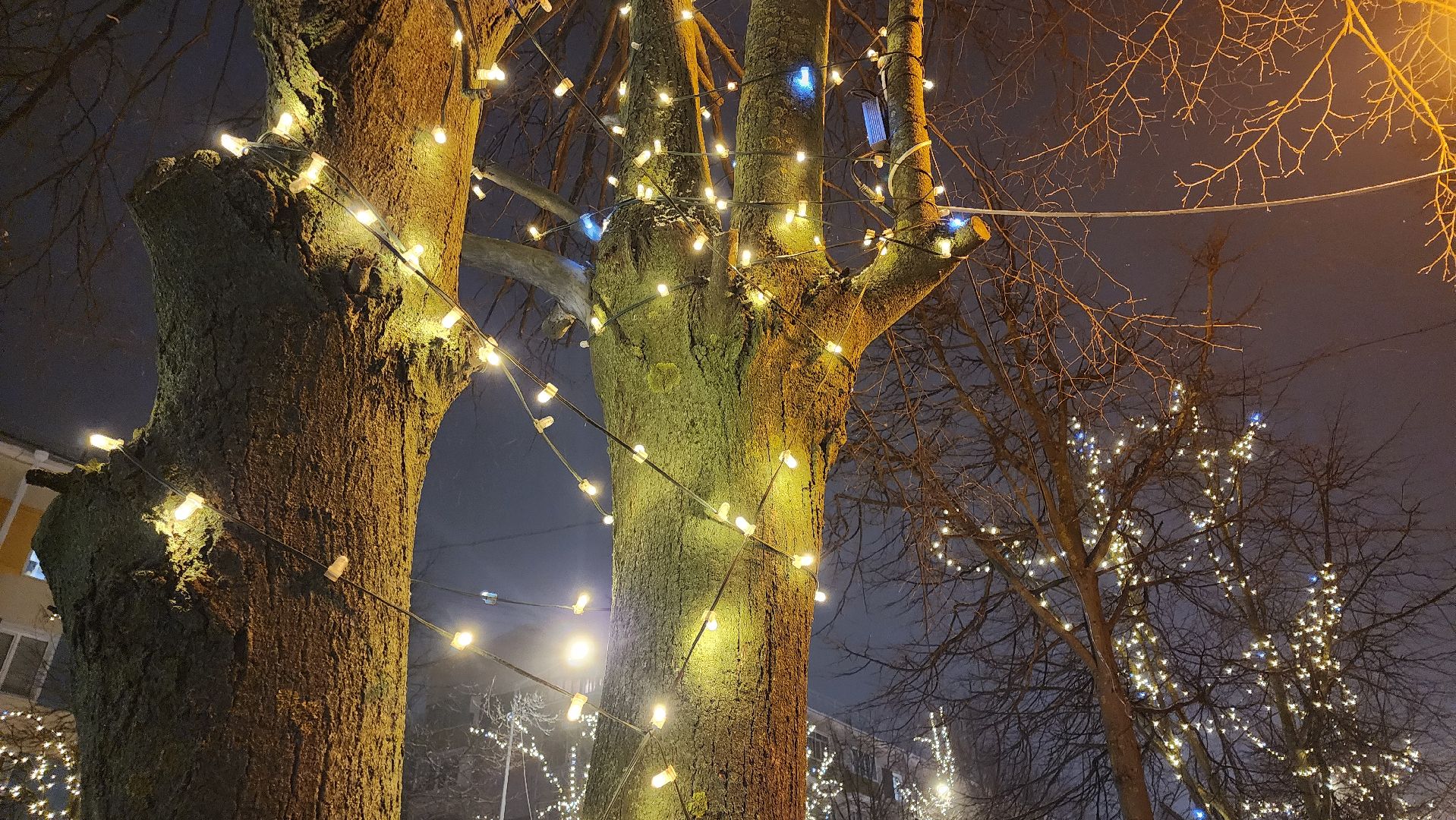 кашира, новый год, новогодние украшения, гирлянды, елка, вертикалки,