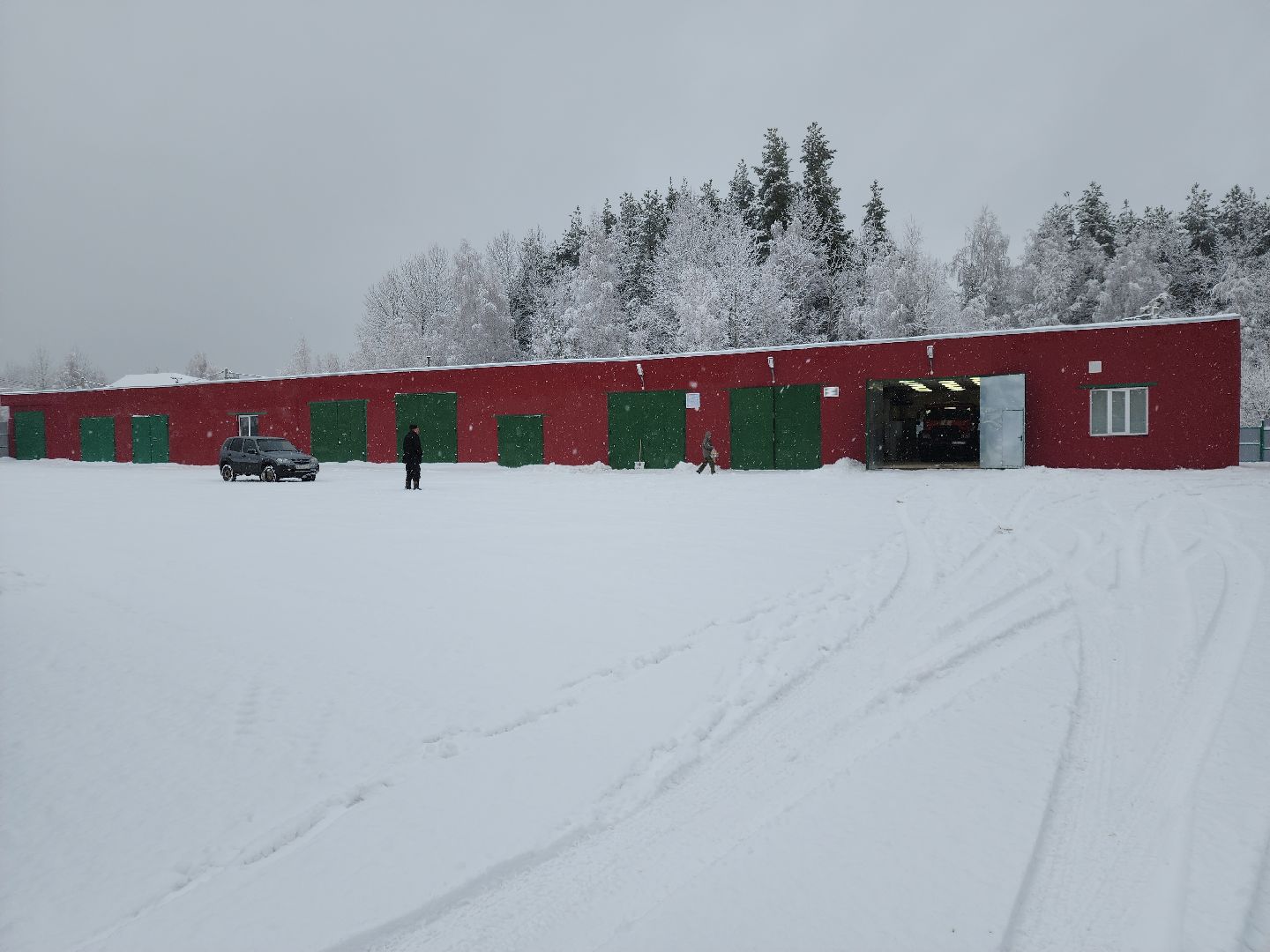вертикалки, лесопожарная станция, орехово-зуевский округ, Леса Подмосковья,