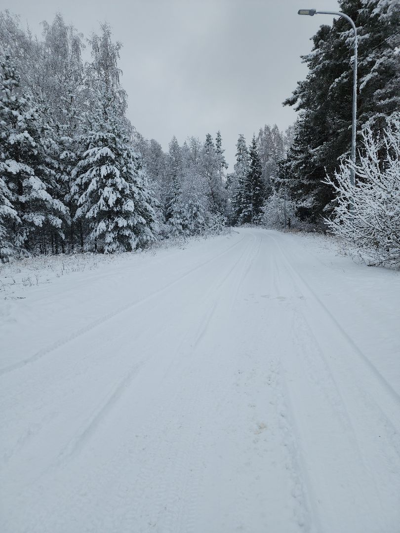 вертикалки, лесопожарная станция, орехово-зуевский округ, Леса Подмосковья,