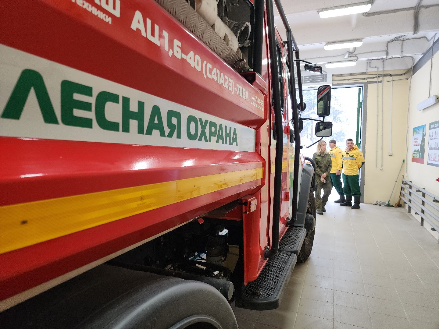 вертикалки, лесопожарная станция, орехово-зуевский округ, Леса Подмосковья,