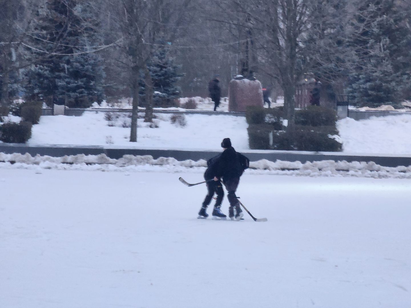 одинцово, благоустройство, пруд, каток, баранка, вертикалки,