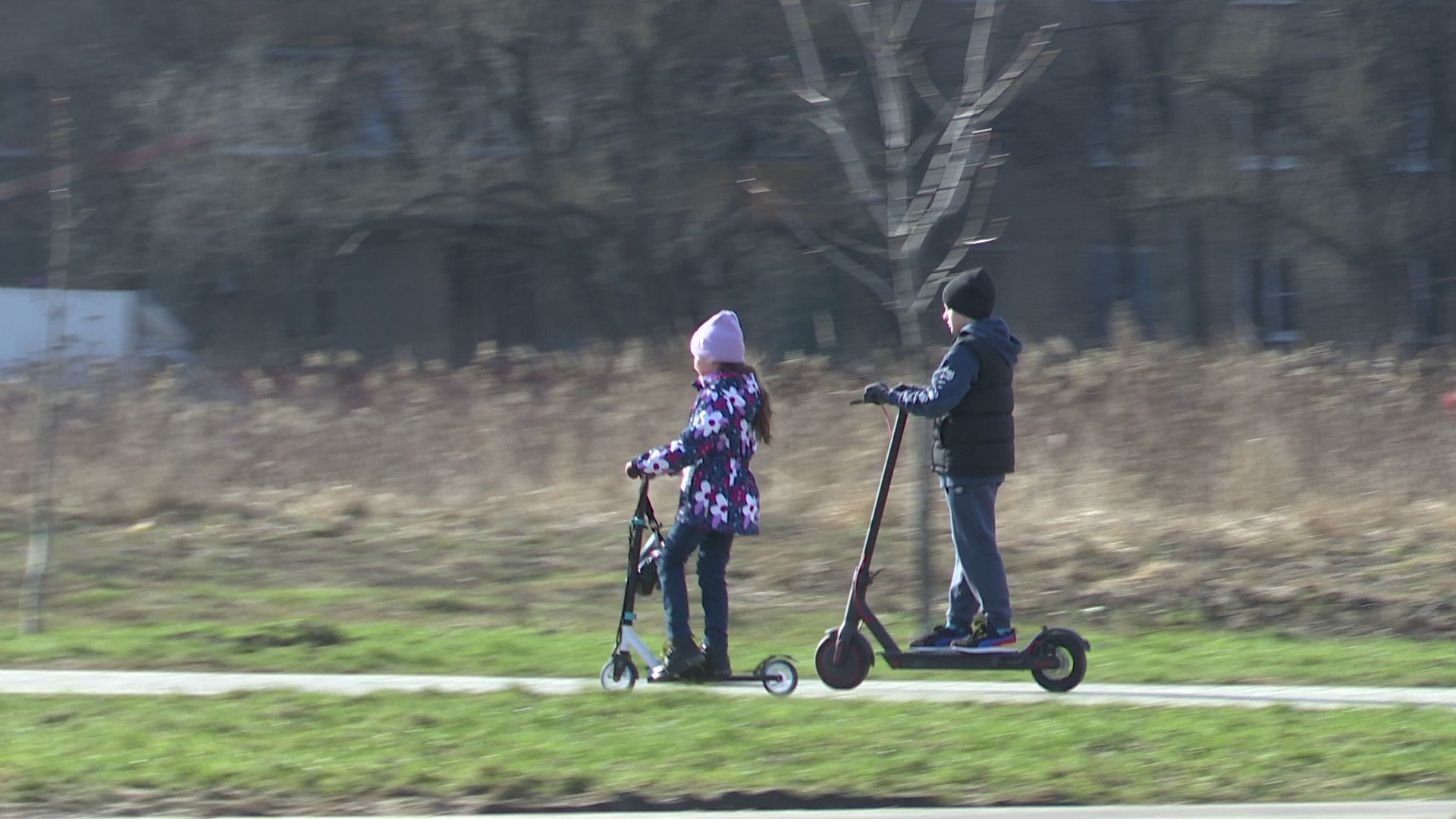 Реутов, самокаты, движение, ПДД, шеринг, аренда, средство индивидуальной мобильности