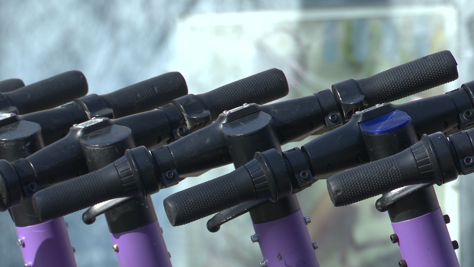 Реутов, самокаты, движение, ПДД, шеринг, аренда, средство индивидуальной мобильности