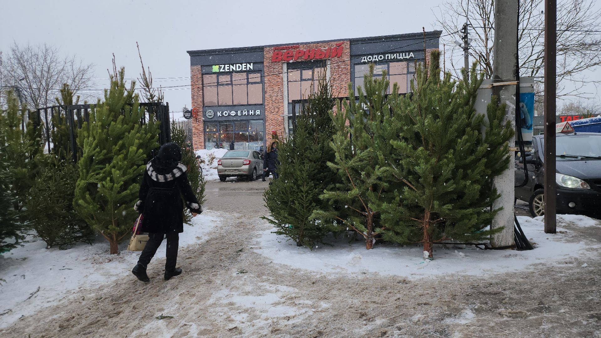 елочный базар, новый год, истра, вертикалки,