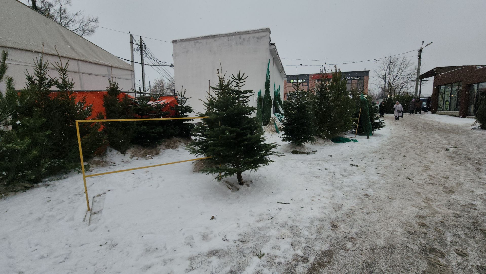 елочный базар, новый год, истра, вертикалки,