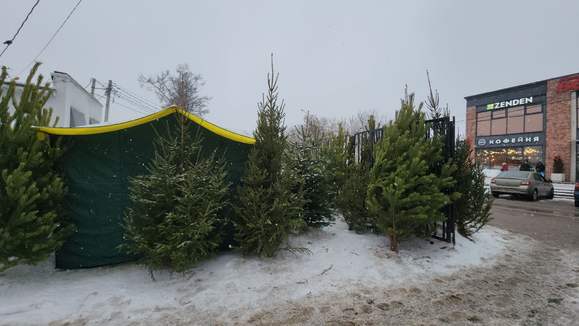 елочный базар, новый год, истра, вертикалки,