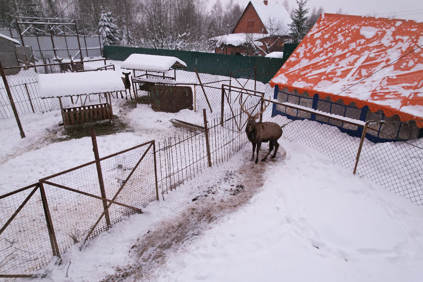 видео с коптера, руза, ферма, туризм, экотуризм,