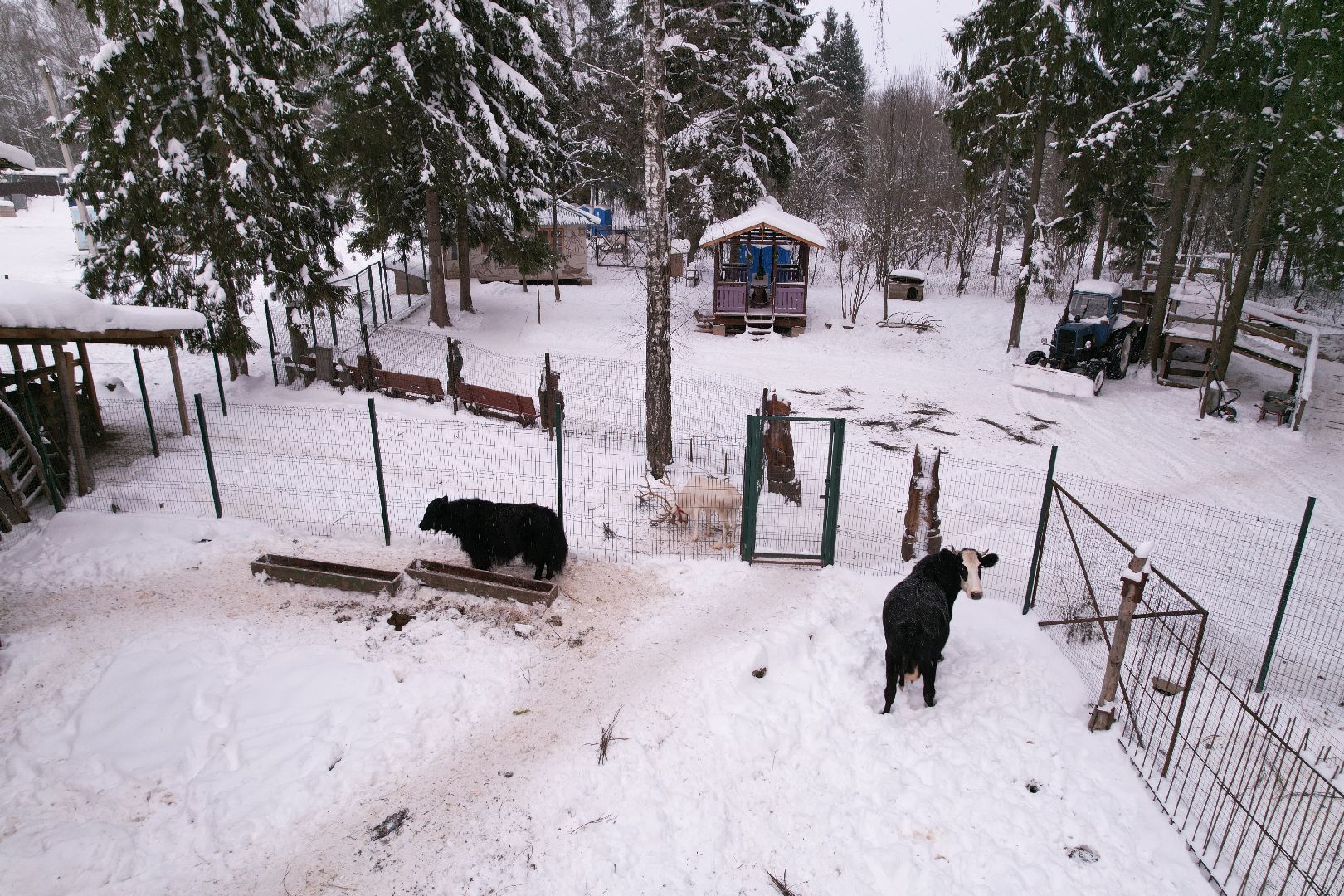 видео с коптера, руза, ферма, туризм, экотуризм,