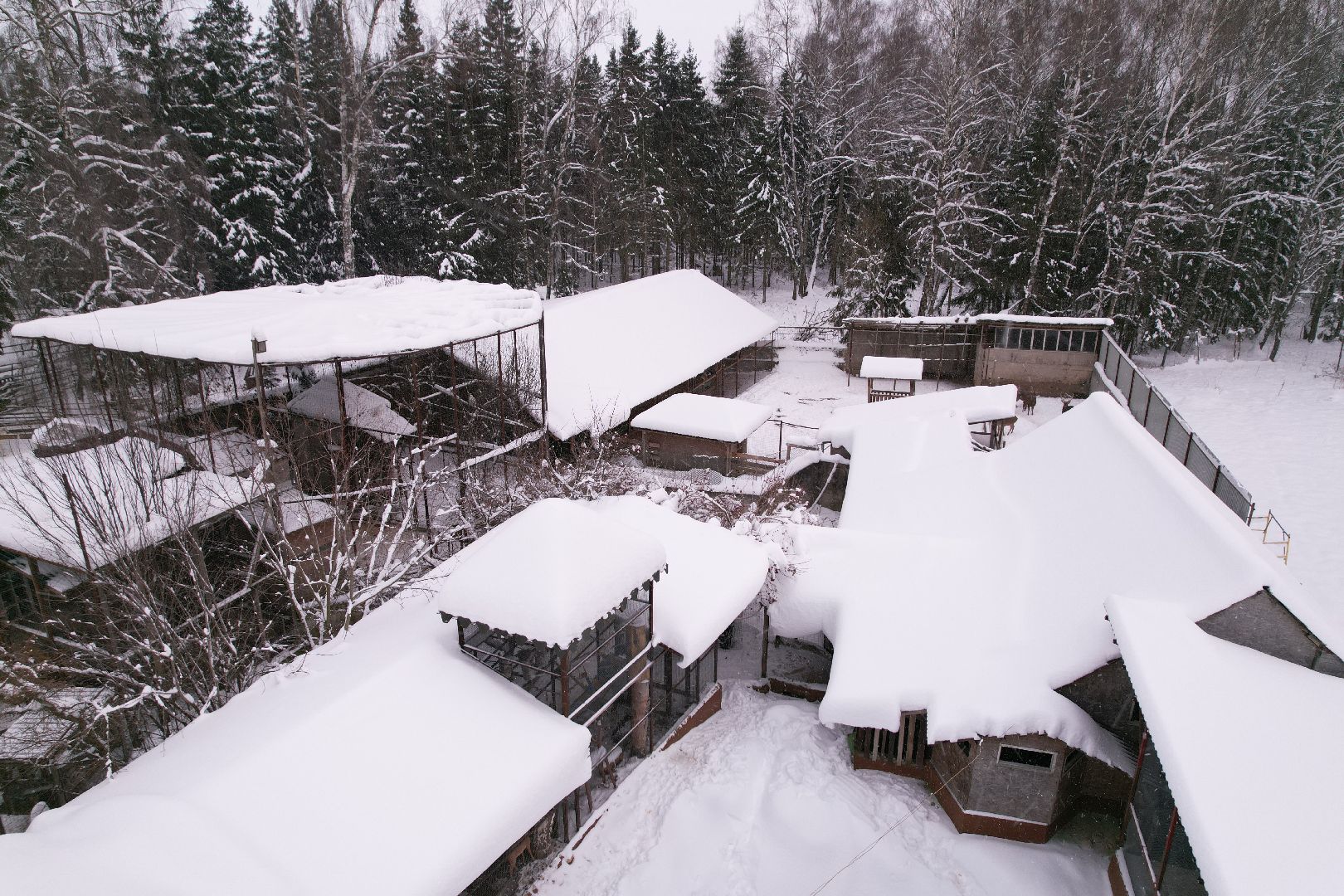 видео с коптера, руза, ферма, туризм, экотуризм,