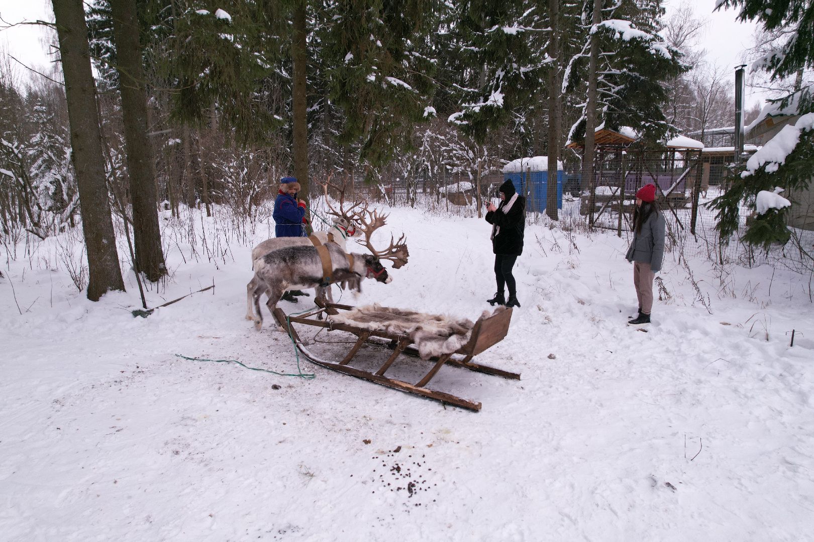 видео с коптера, руза, ферма, туризм, экотуризм,