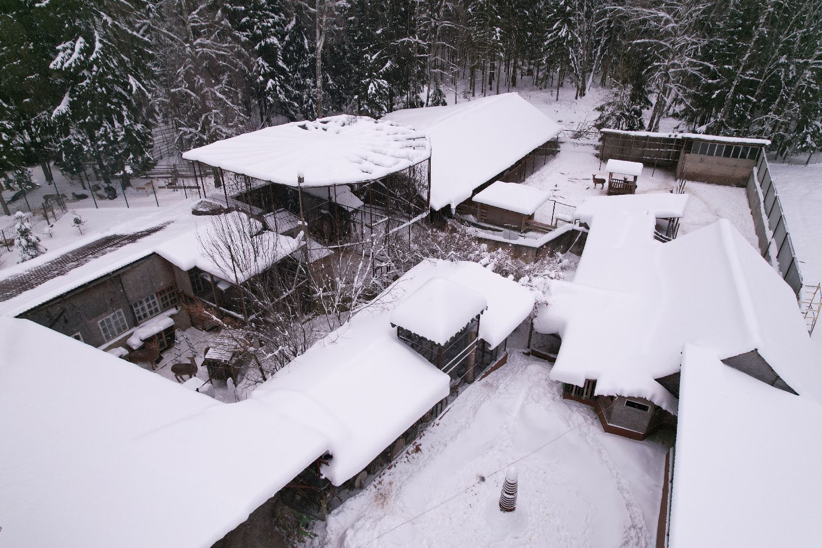 видео с коптера, руза, ферма, туризм, экотуризм,