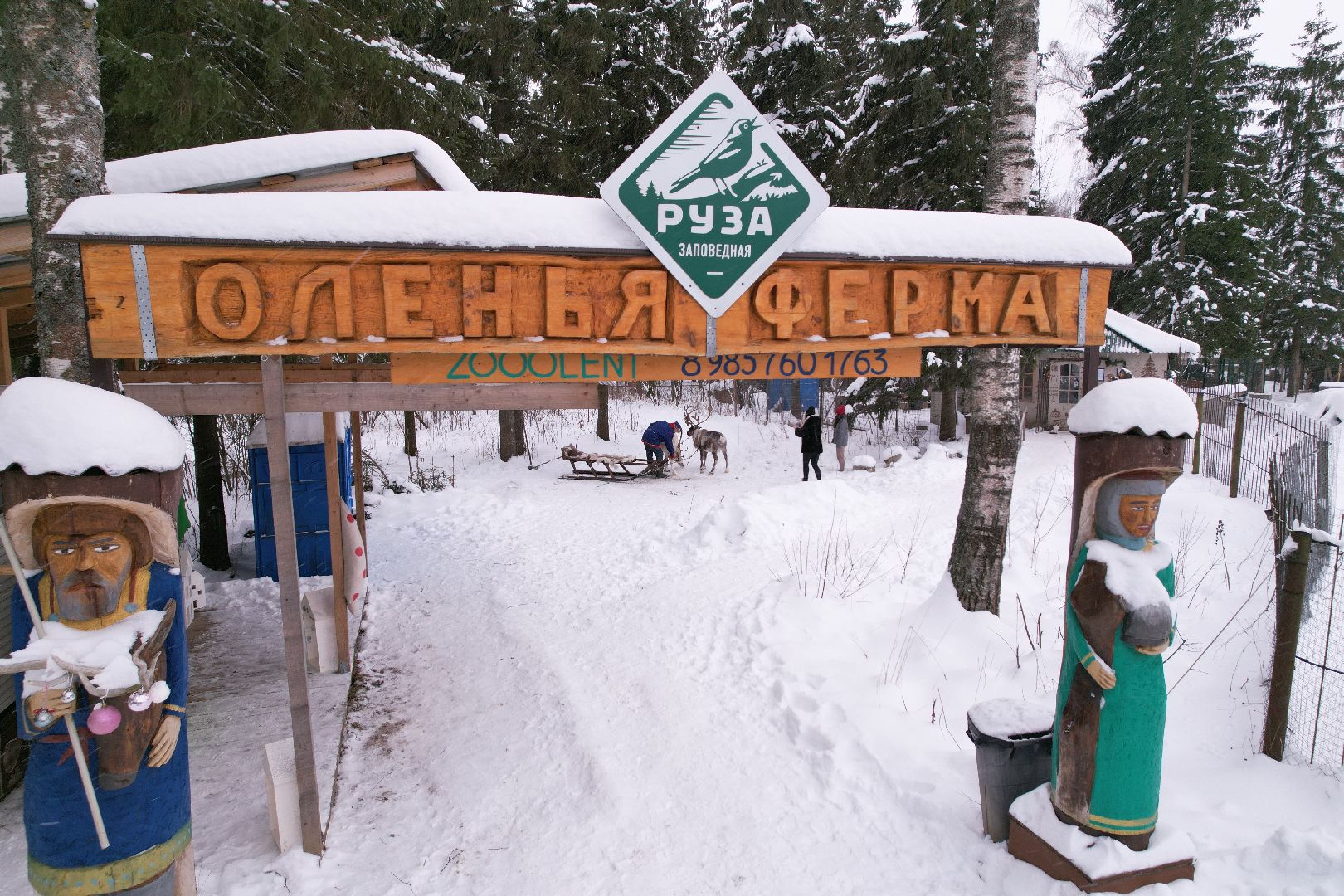 видео с коптера, руза, ферма, туризм, экотуризм,