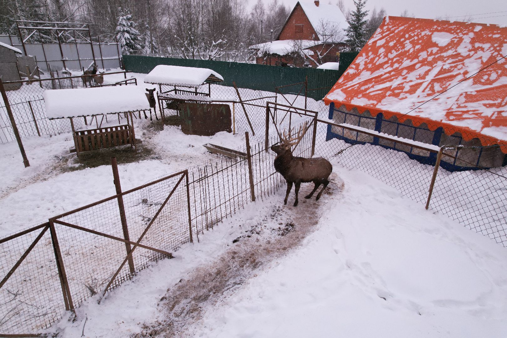 видео с коптера, руза, ферма, туризм, экотуризм,