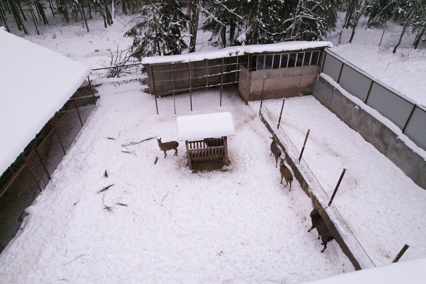 видео с коптера, руза, ферма, туризм, экотуризм,